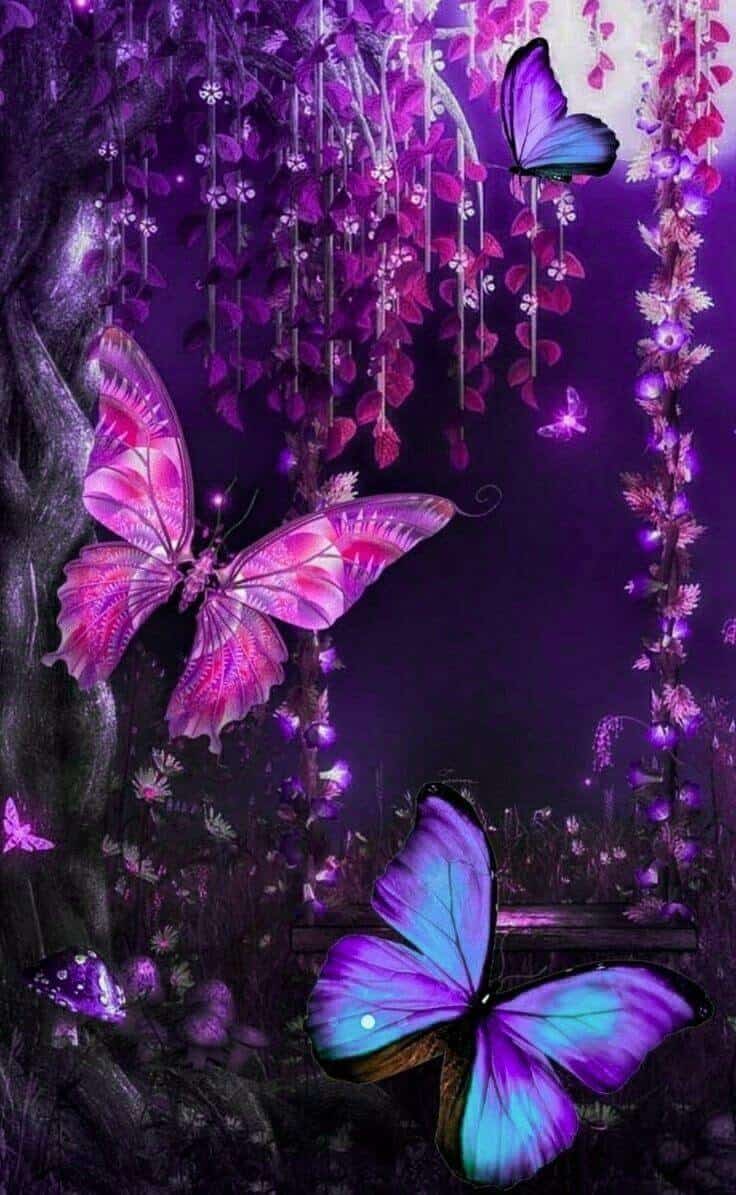 736x1195 Beautiful Butterfly Wallpaper Background To Replace Your Currently Dull Ones
