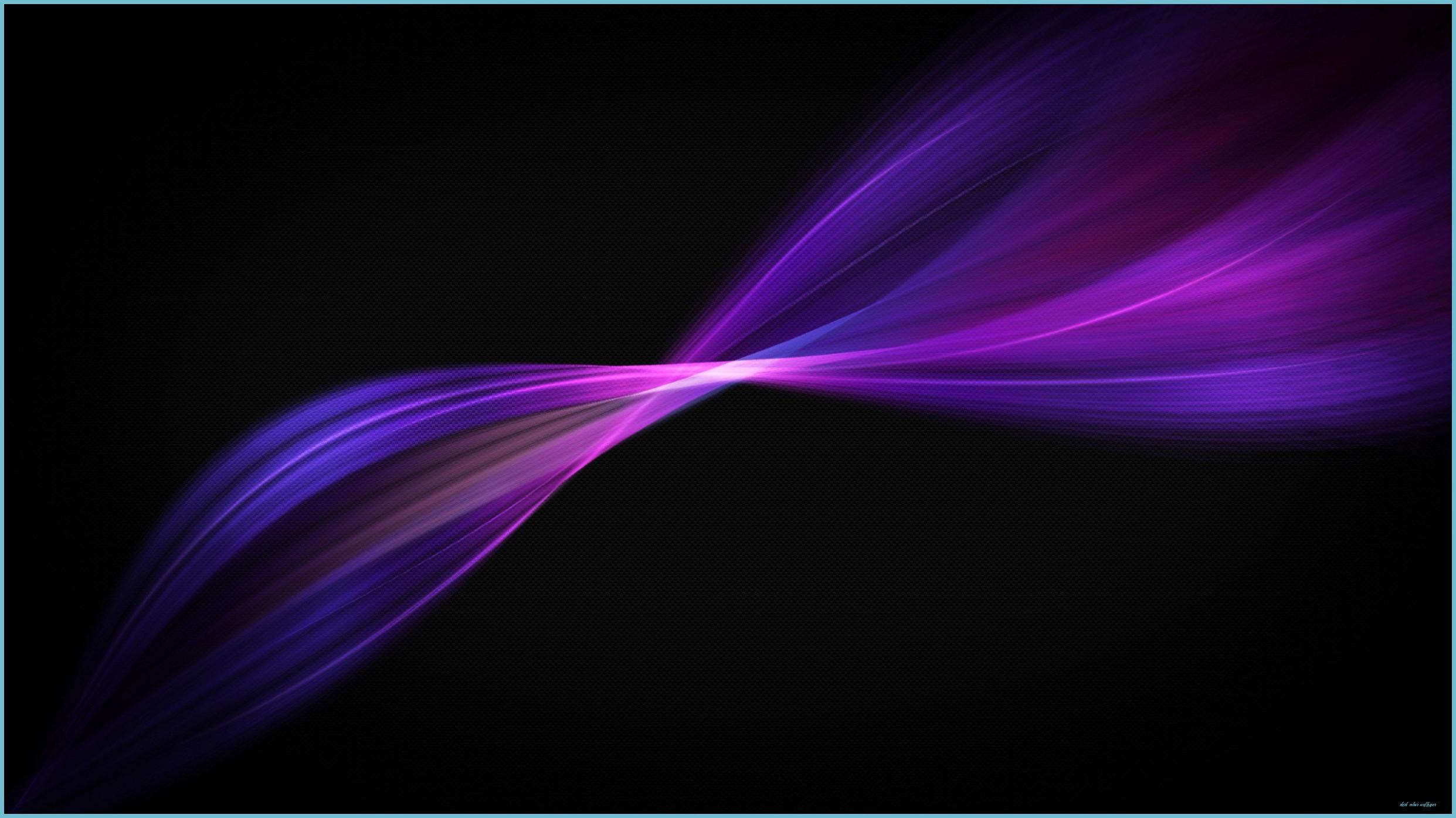 2483x1396 Violet Flowers Wallpaper Background 8 8 X 8 Black Colour Wallpaper