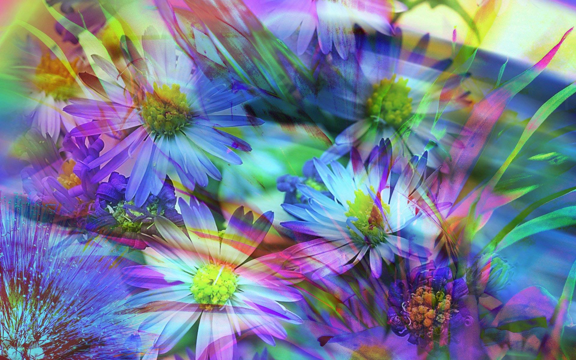 1920x1200 Spring Flowers Abstract, HD Abstract, 4k Wallpaper, Image, Background, Photo and Picture