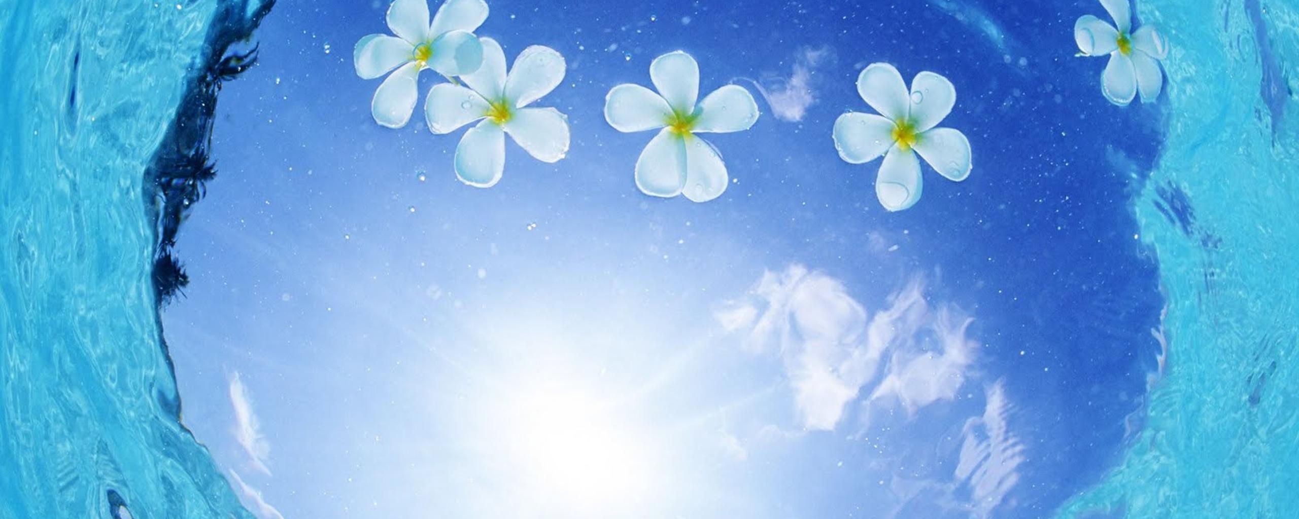 2560x1024 Abstract blue wallpaper flowers on