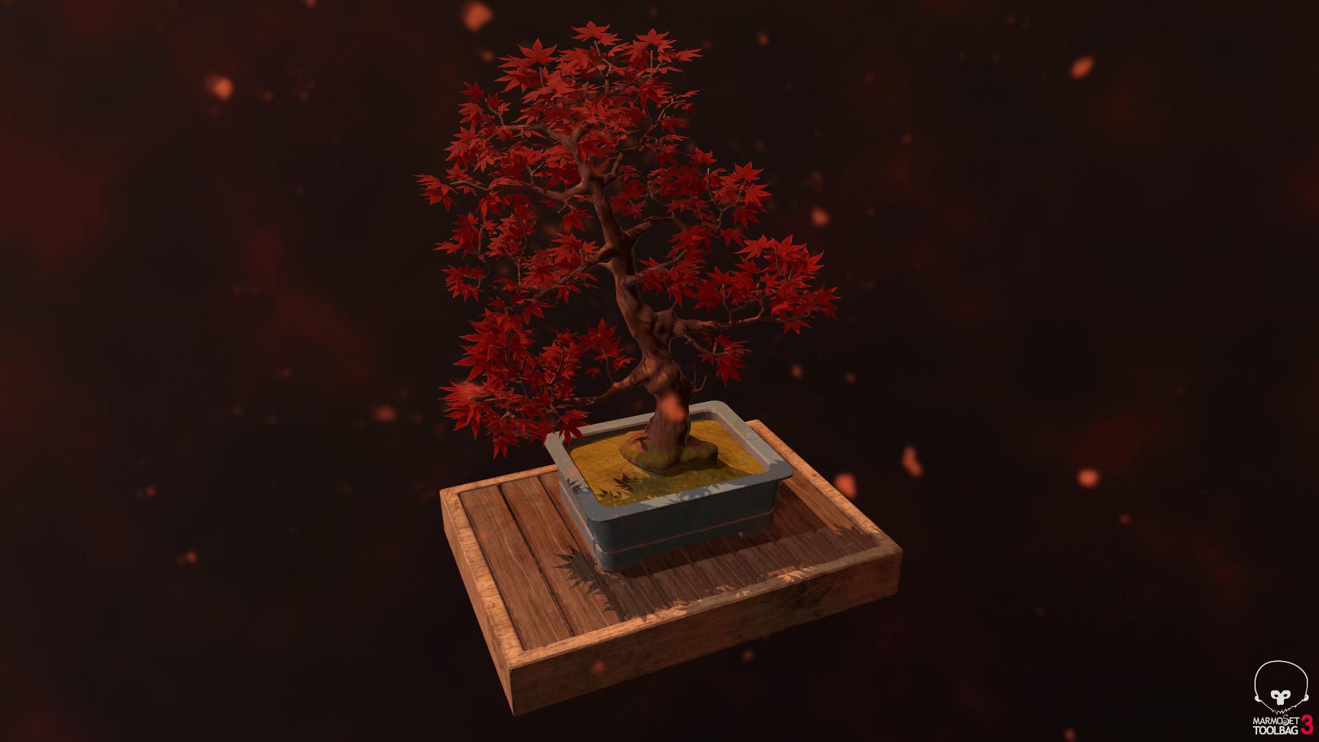 1920x1080 Maple Bonsai, Veronika Slavik