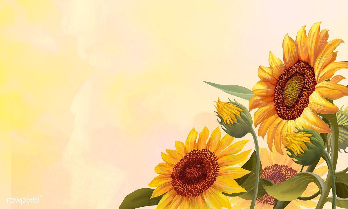 Sunflower Drawing Laptop Wallpapers - Top Free Sunflower Drawing Laptop  Backgrounds - WallpaperAccess
