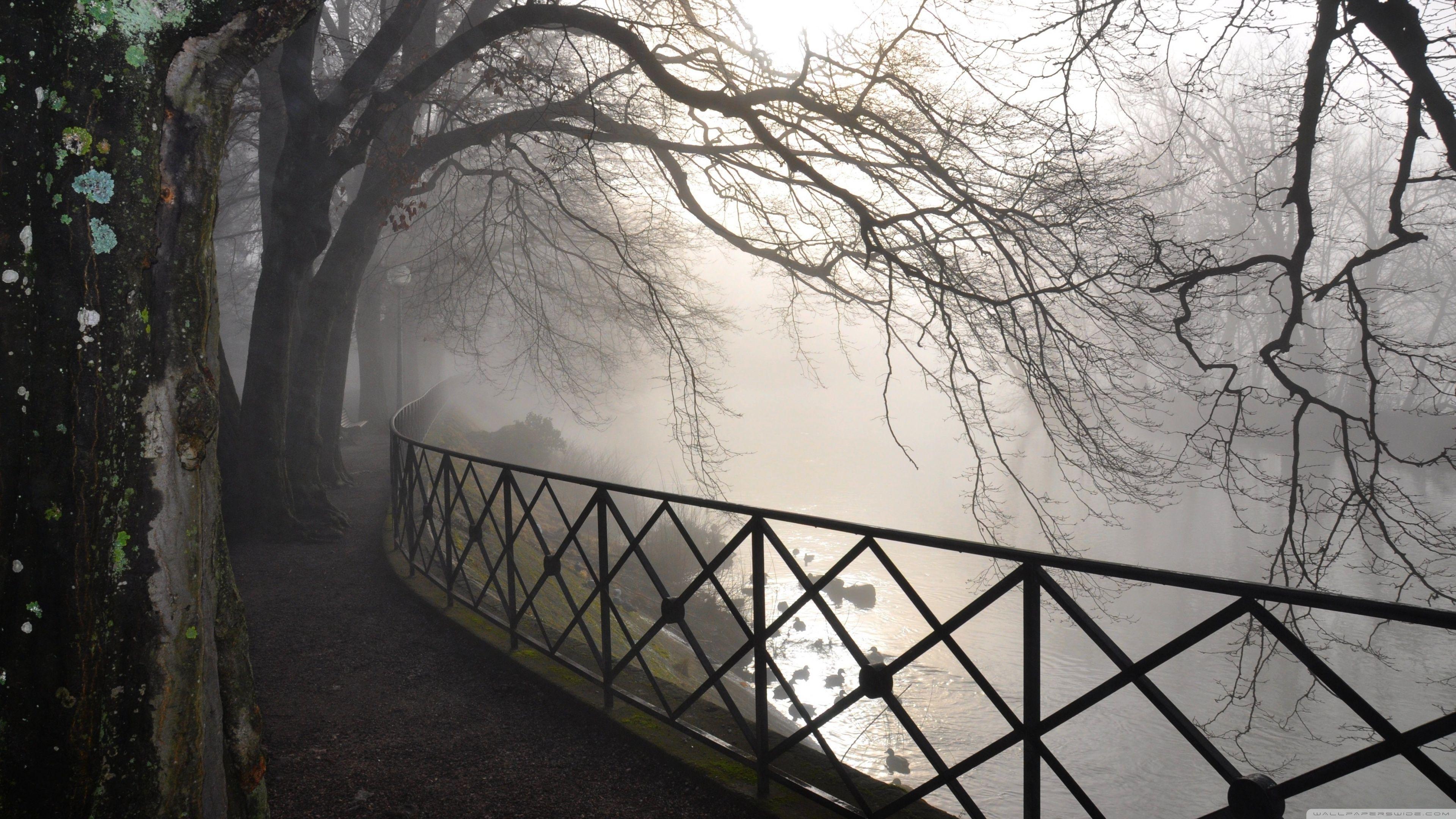 3840x2160 Foggy River ❤ 4K HD Desktop Wallpaper for 4K Ultra HD TV • Wide
