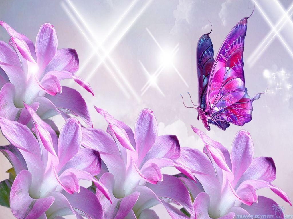 1024x768 Free download Pink Butterfly Wallpaper Flower 358300 HD Wallpaper Download [1024x768] for your Desktop, Mobile & Tablet. Explore Beautiful Butterfly Wallpaper Desktop. Beautiful Butterfly Wallpaper, Beautiful Butterfly Wallpaper, Beautiful