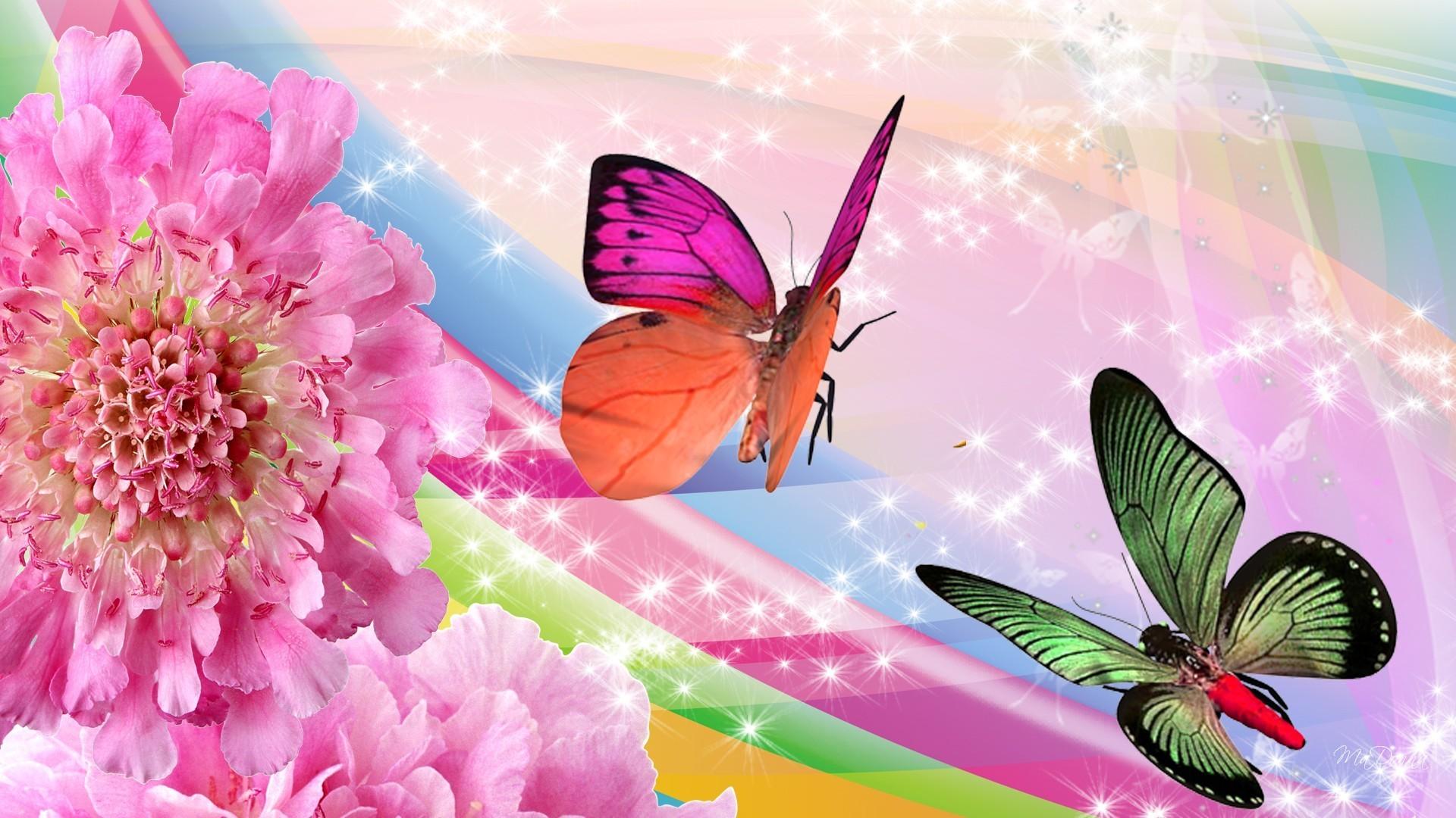 1920x1080 Butterflies Tag