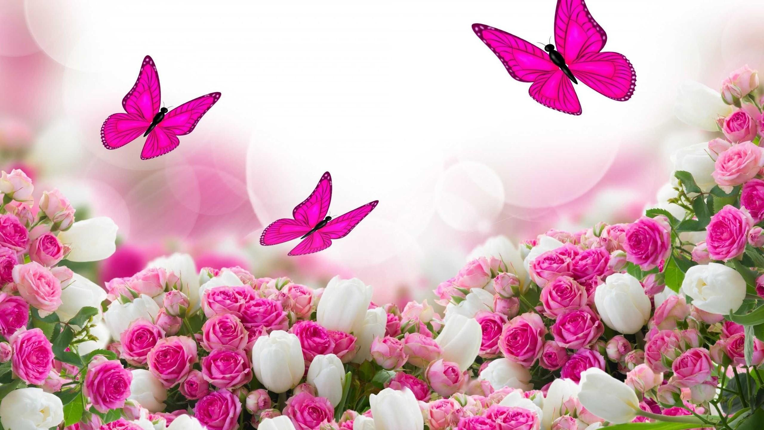 2560x1440 Pink Butterflies With Pink White Roses HD Pink Butterfly Wallpaper