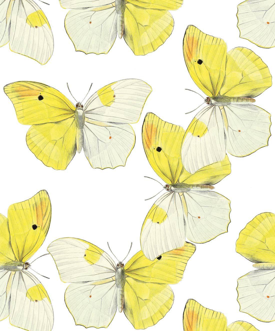 1100x1320 Blended Butterfly Wallpaper • Kids Wallpaper