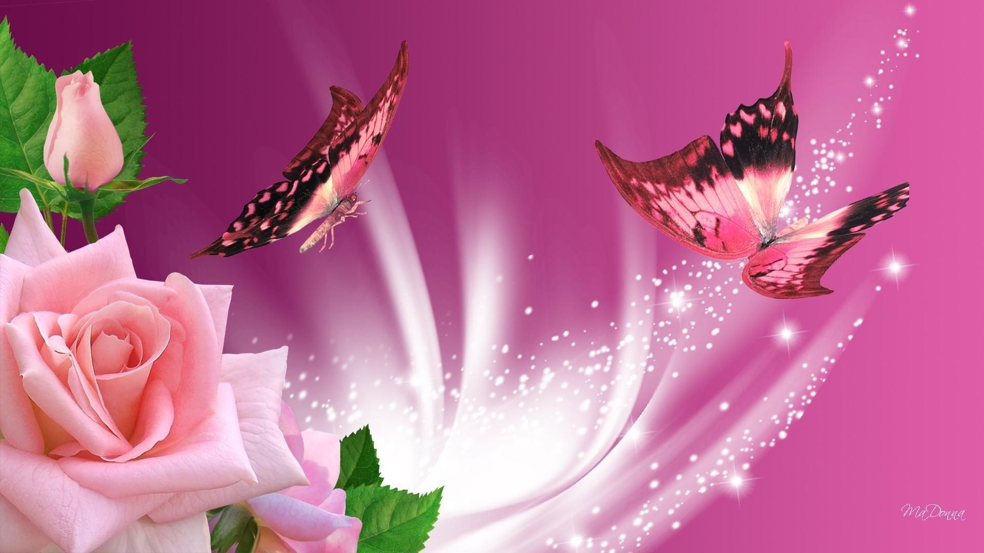 1920x1080 Pink Butterfly Wallpaper