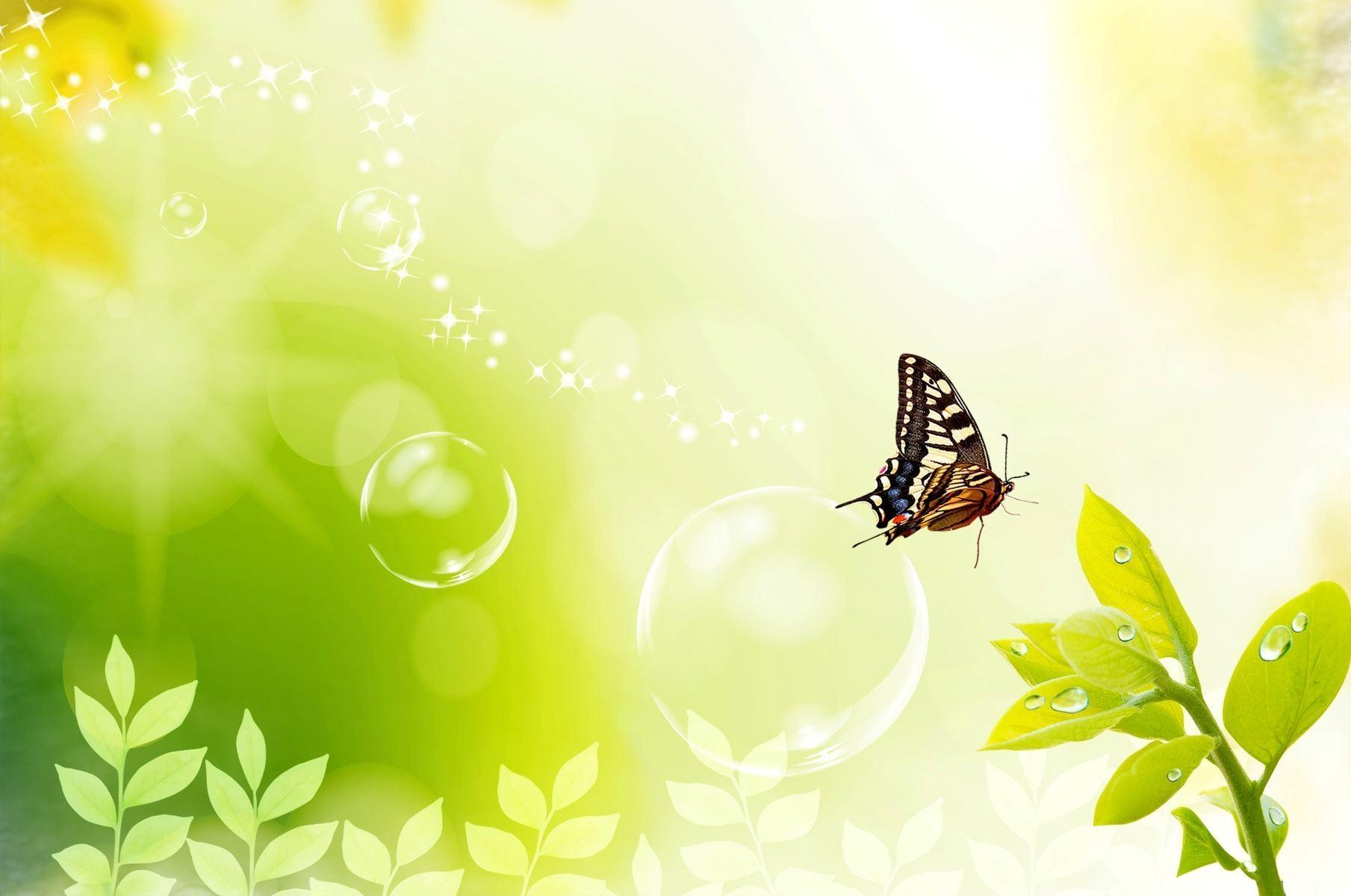 1809x1200 Trends For Yellow Butterfly Background Wallpaper Image picture