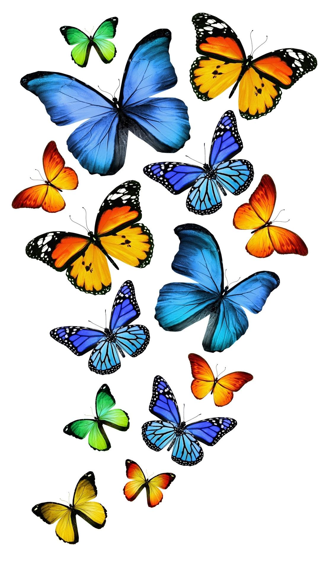 1080x1920 3D, Blue, Green, Blue, Yellow, Butterfly, Green, Yellow