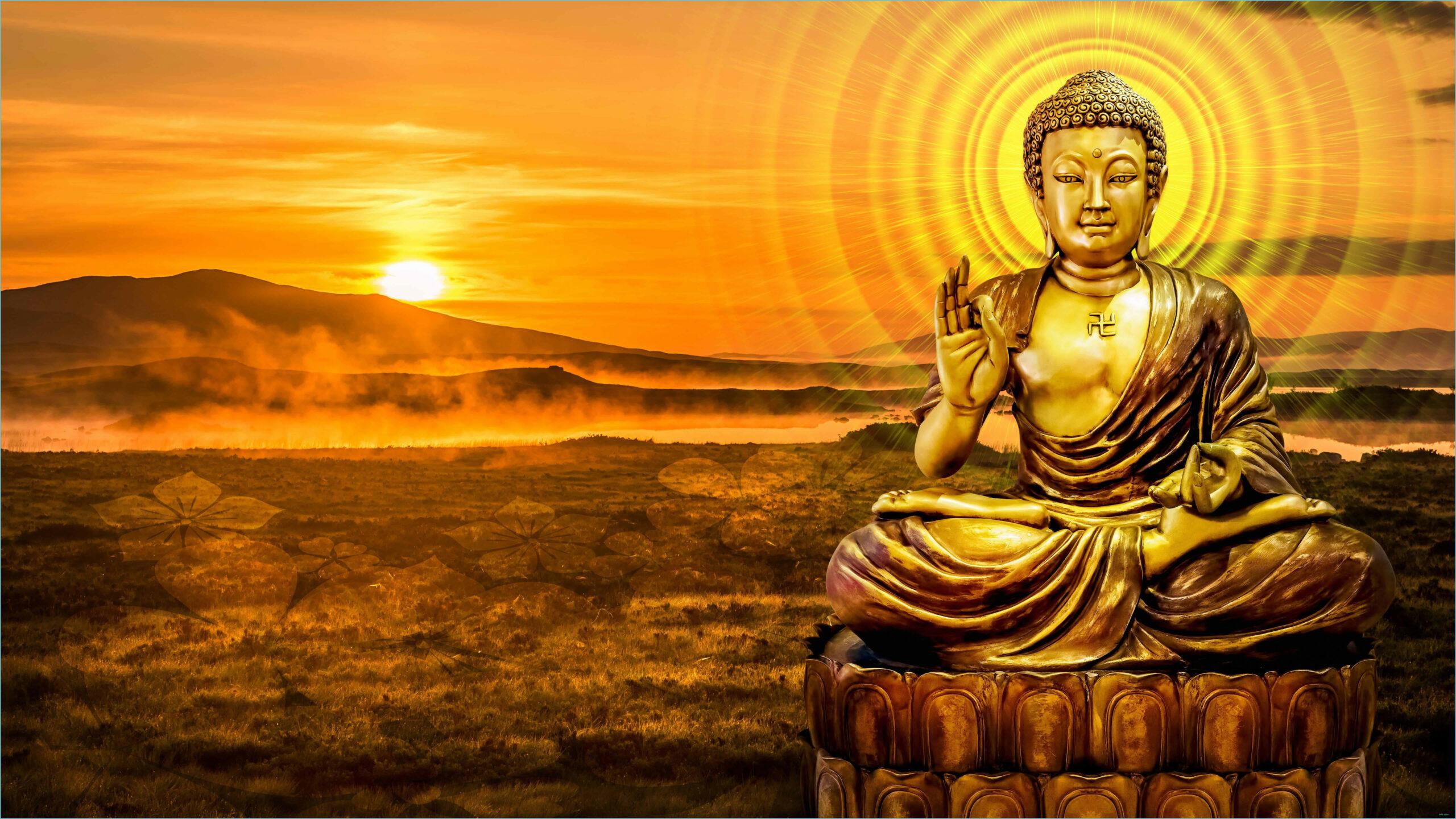 2560x1440 Buddha HD Wallpaper Top Free Buddha HD Background