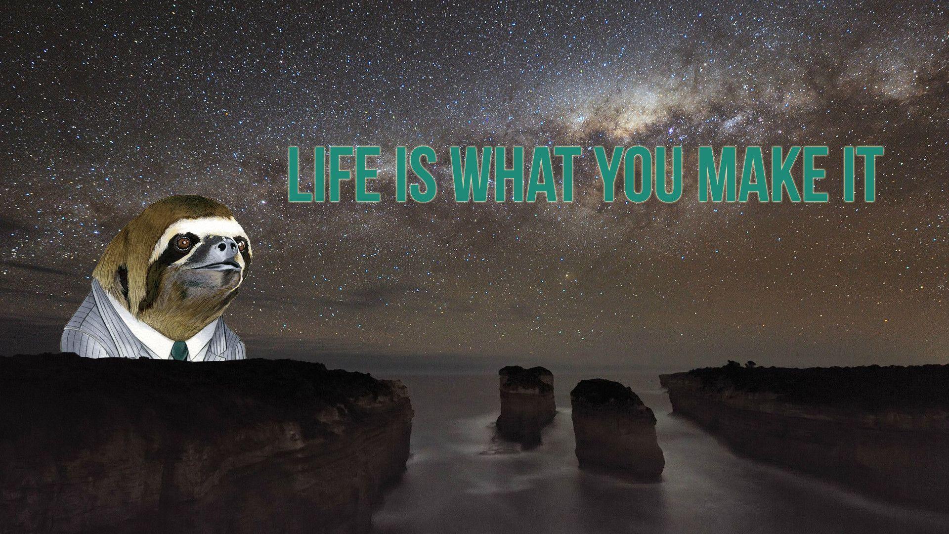 1920x1080 1920x1080px Funny Sloth Wallpaper