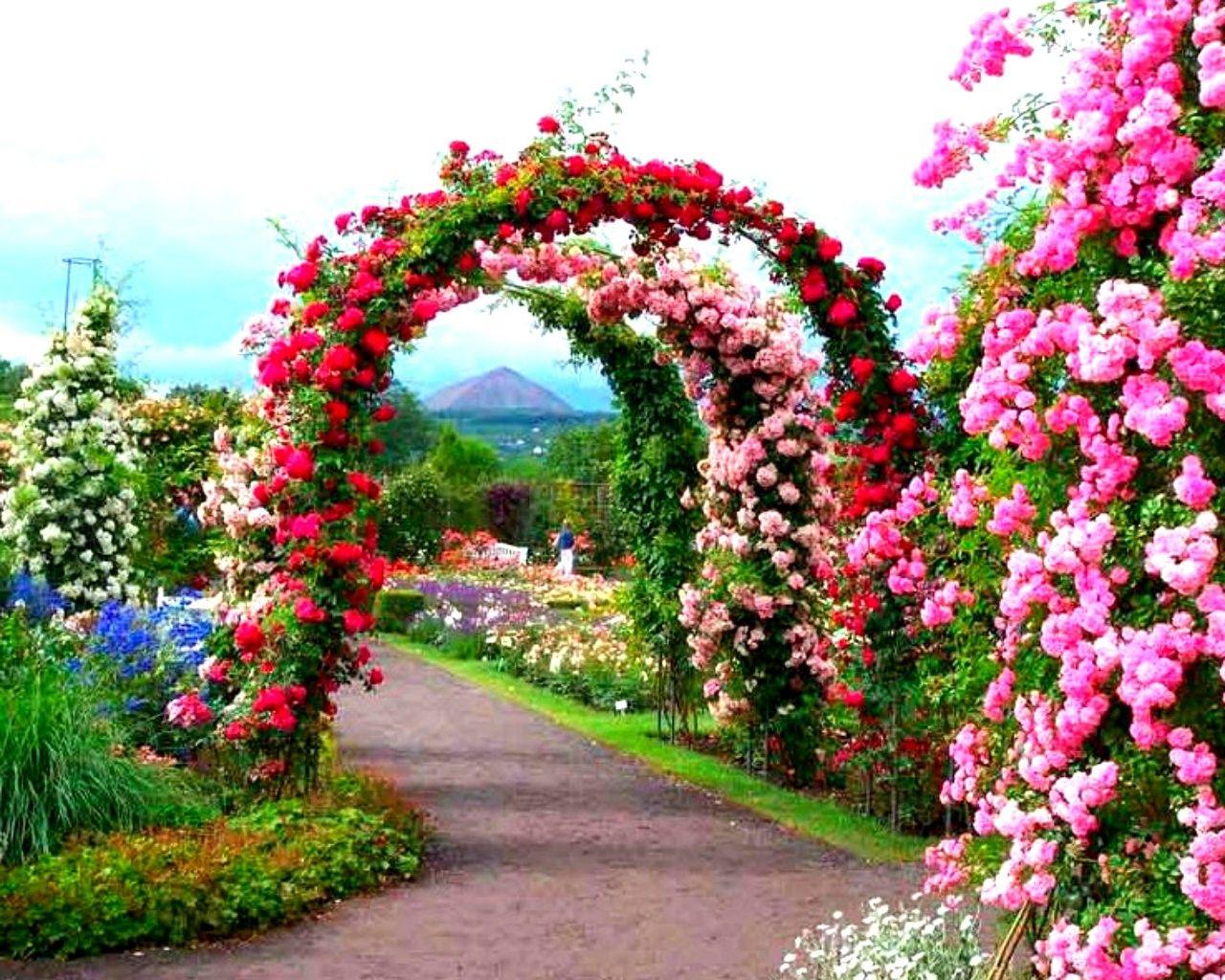 1280x1024 Beautiful Garden Flowers Path Arch Wallpaper Flower Image Download. Garden image, Beautiful gardens, Flower garden