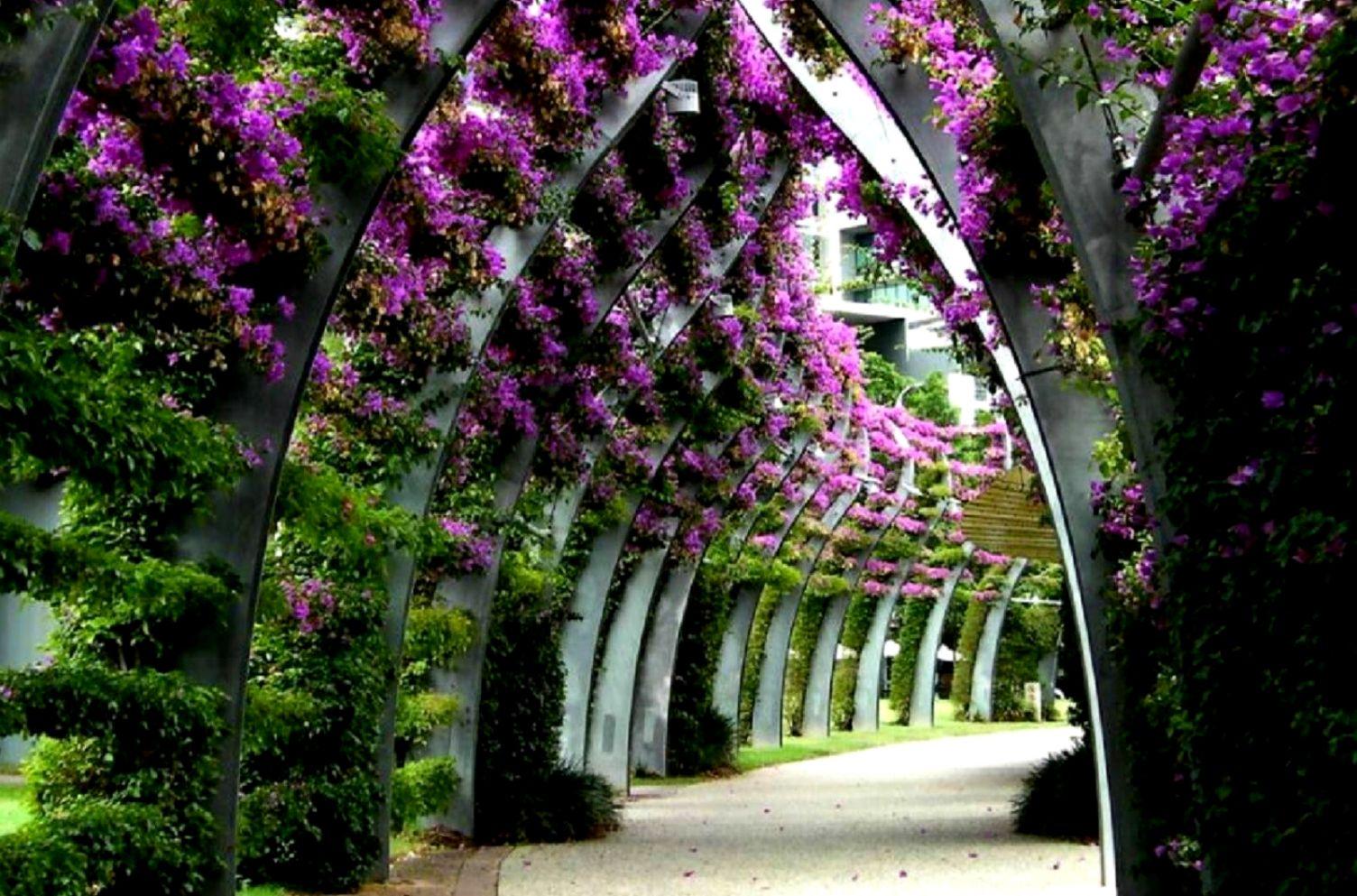 1504x993 Flowers Path Beautiful Flowery Flower Garden Nature Background Wallpaper HD