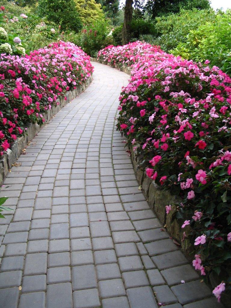 768x1024 Flower Path. HD Wallpaper, HD Image, HD Picture