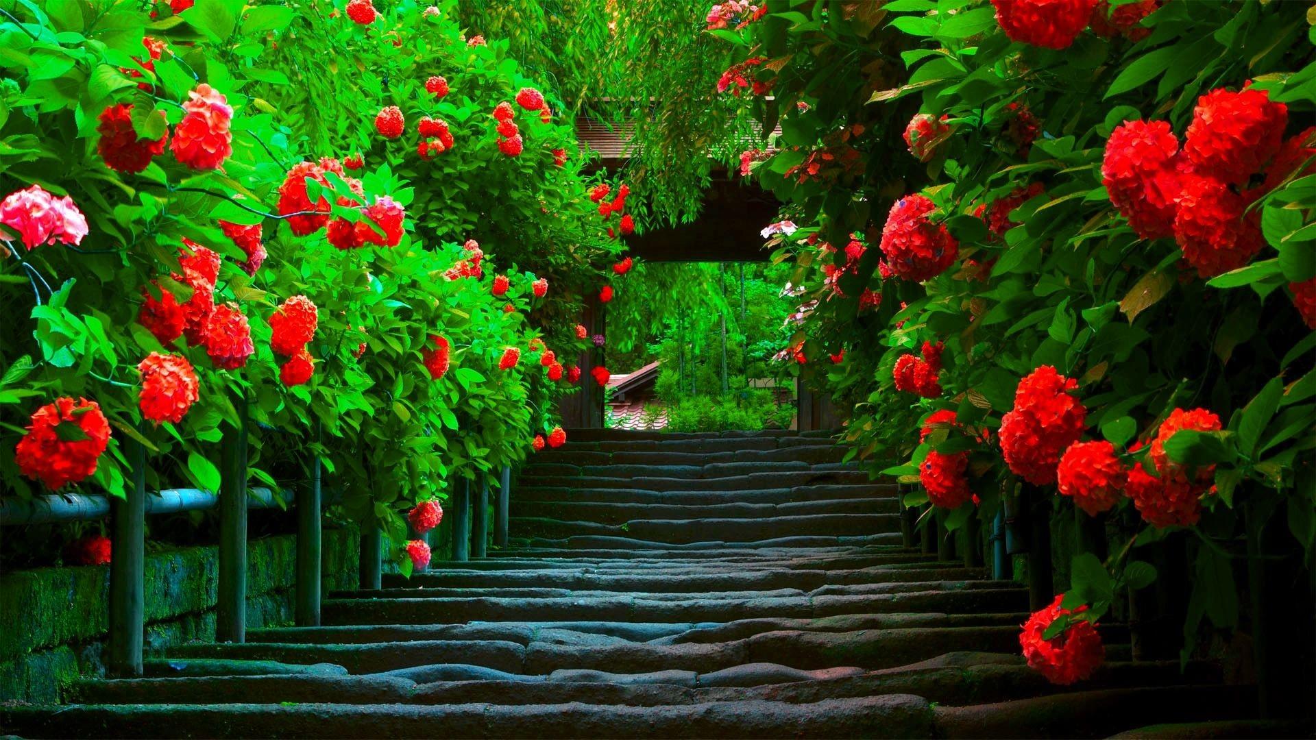 1920x1080 Free download Pretty Path Landscape Widescreen HD Wallpaper [1920x1080] for your Desktop, Mobile & Tablet. Explore Pretty Free Wallpaper. Pretty Wallpaper For Desktop, Pretty Wallpaper Background, Picture Of Pretty Wallpaper