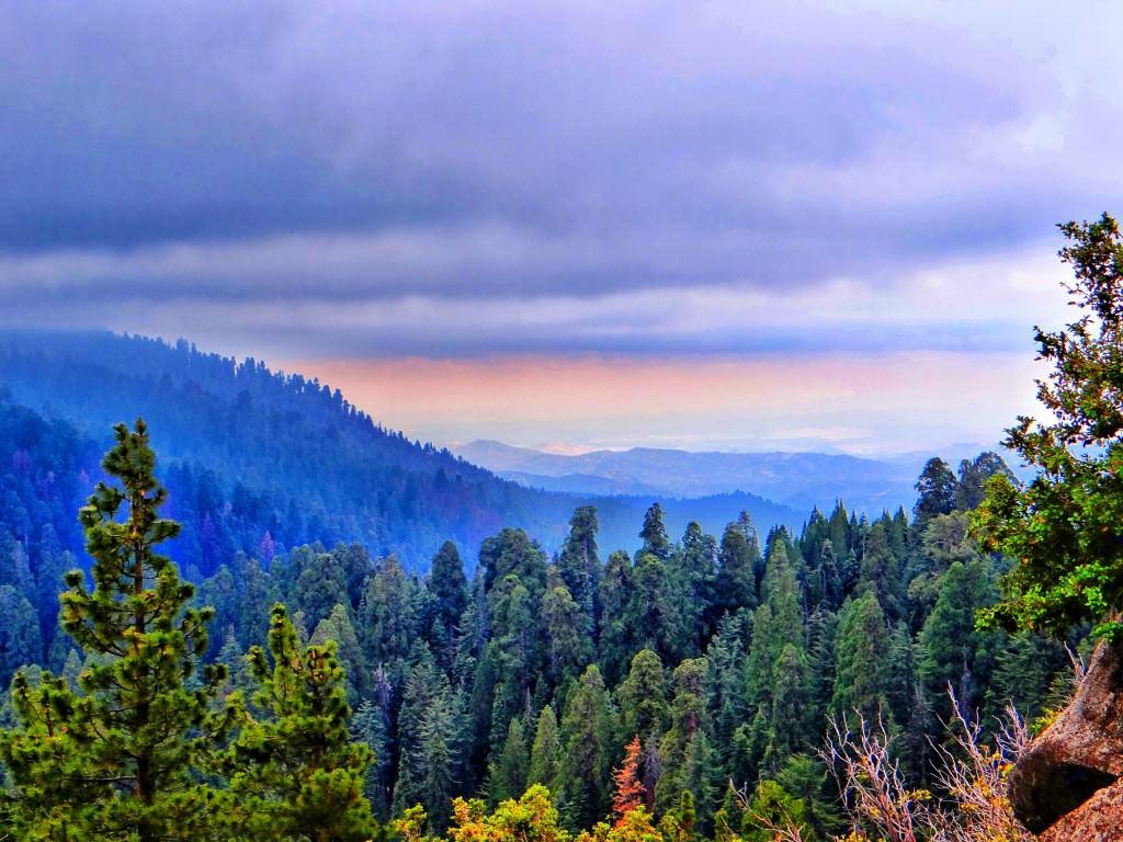 1024x768 Sequoia Mountain Overlook
