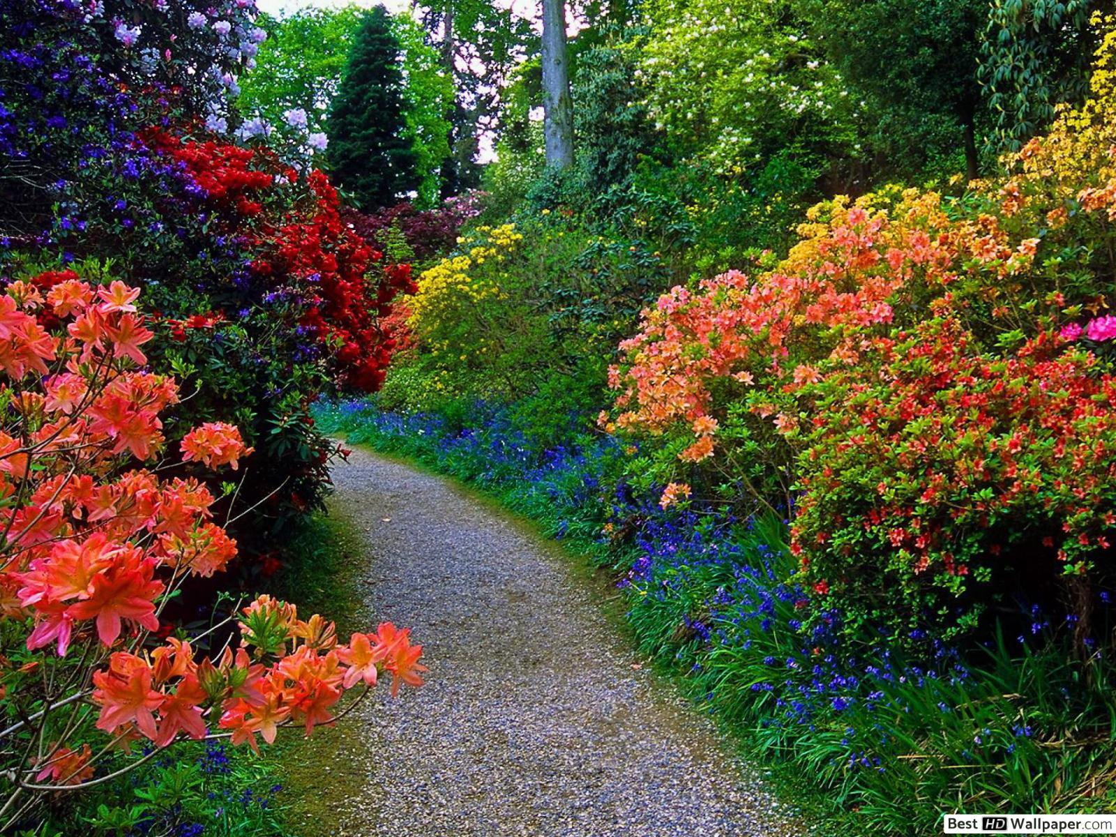 1600x1200 Flowery Summer Garden Path HD wallpaper download