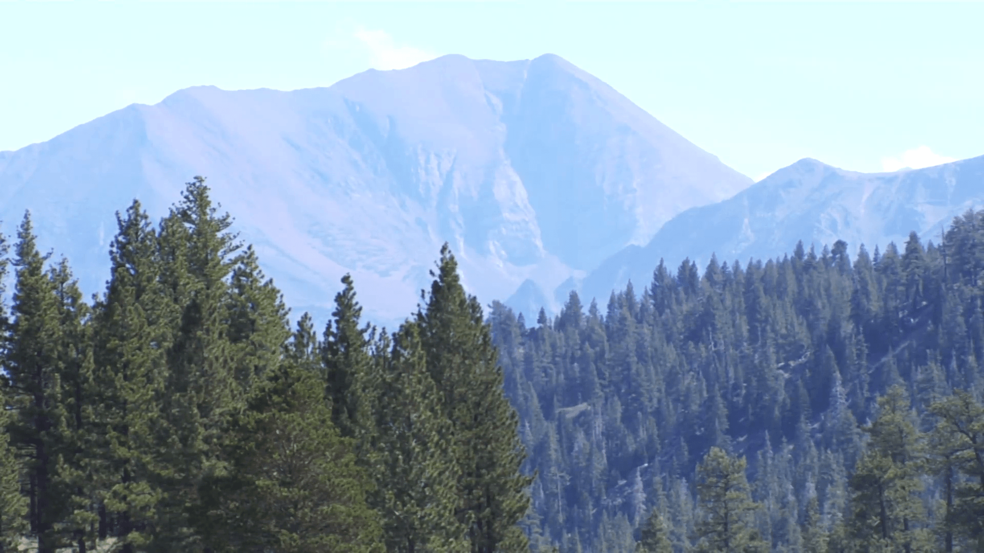1920x1080 Redwood Mountain Grove wide establishing shot. Redwood National Park