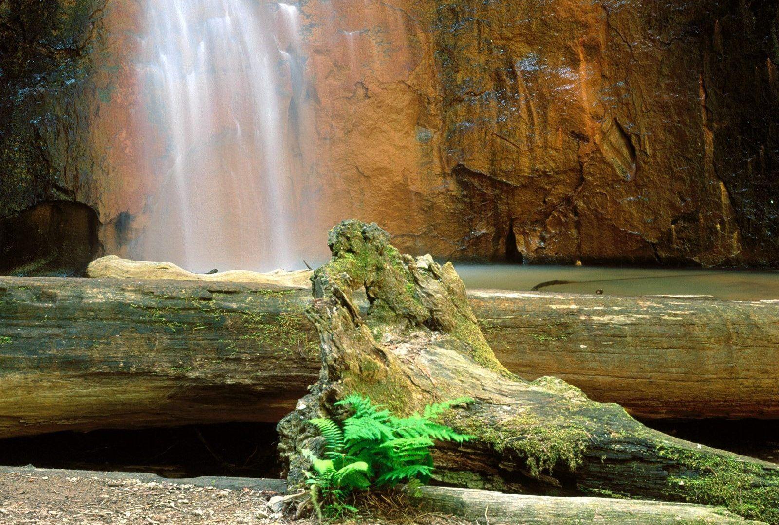 1600x1080 Basin Tag wallpaper: Peaceful Nature Stone Rocks Beautiful Wood