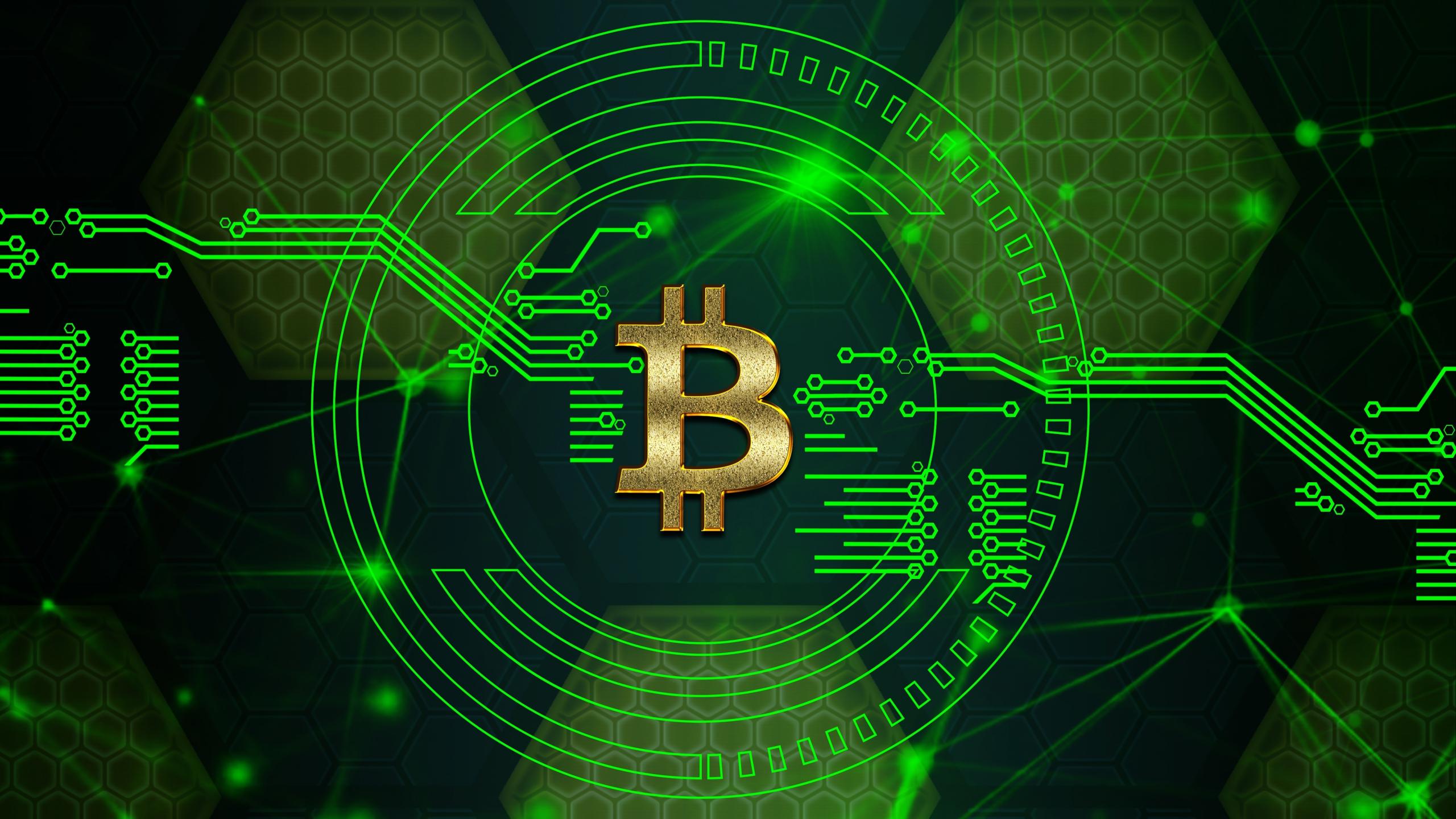 2560x1440 Download 2560x1440 Wallpaper Bitcoin, Digital Circuit, Crypt Currency, Art, Dual Wide, Widescreen 16: Widescreen, 2560x1440 HD Image, Background, 9682