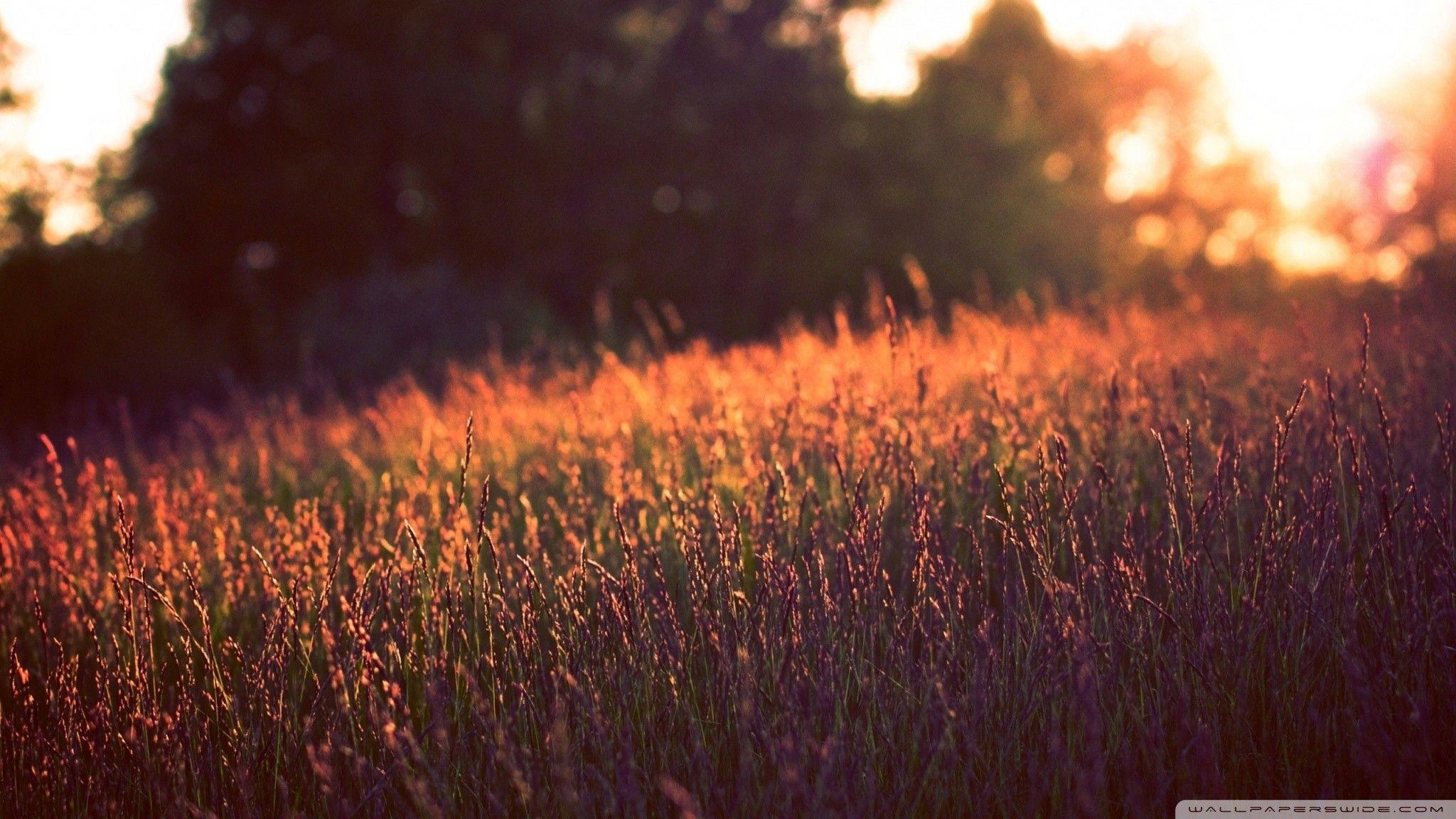 2048x1152 HD 16:9:9 background, Background picture, Sunset