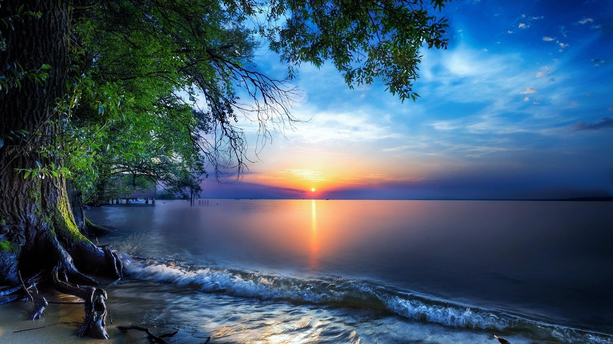 2048x1152 Nature Sea Sky Skyline Sun Tree 2048x1152 Resolution Wallpaper, HD Nature 4K Wallpaper, Image, Photo and Background
