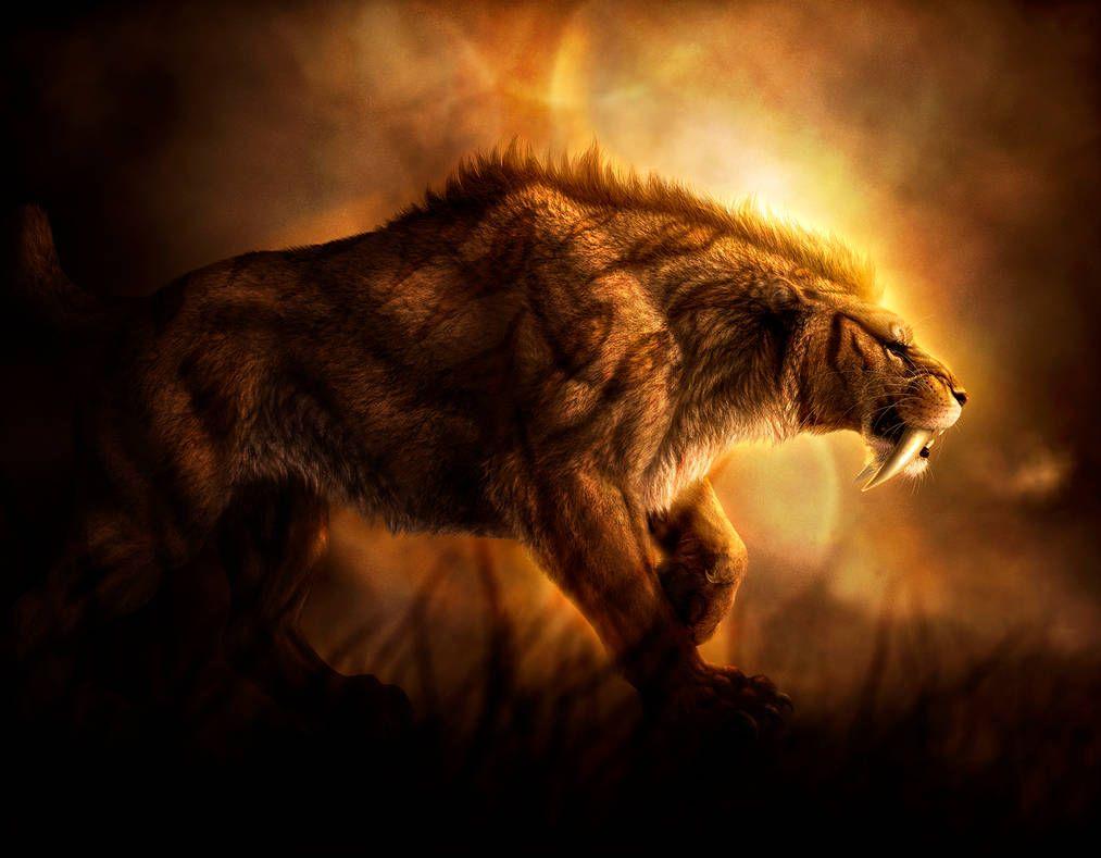 1013x789 Saber Tooth Tiger Wallpaper