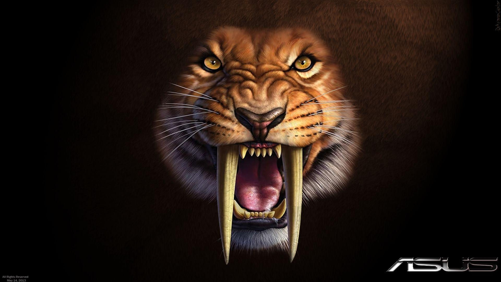 1920x1080 Asus Sabertooth Wallpaper HD Toothed Tiger Shirt HD Wallpaper