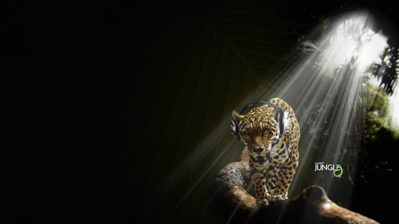 1366x768 Jaguar In Audio Jungle 1920 1200 HD Desktop Wallpaper Background. Audio jungle, Jungle wallpaper, Desktop wallpaper background