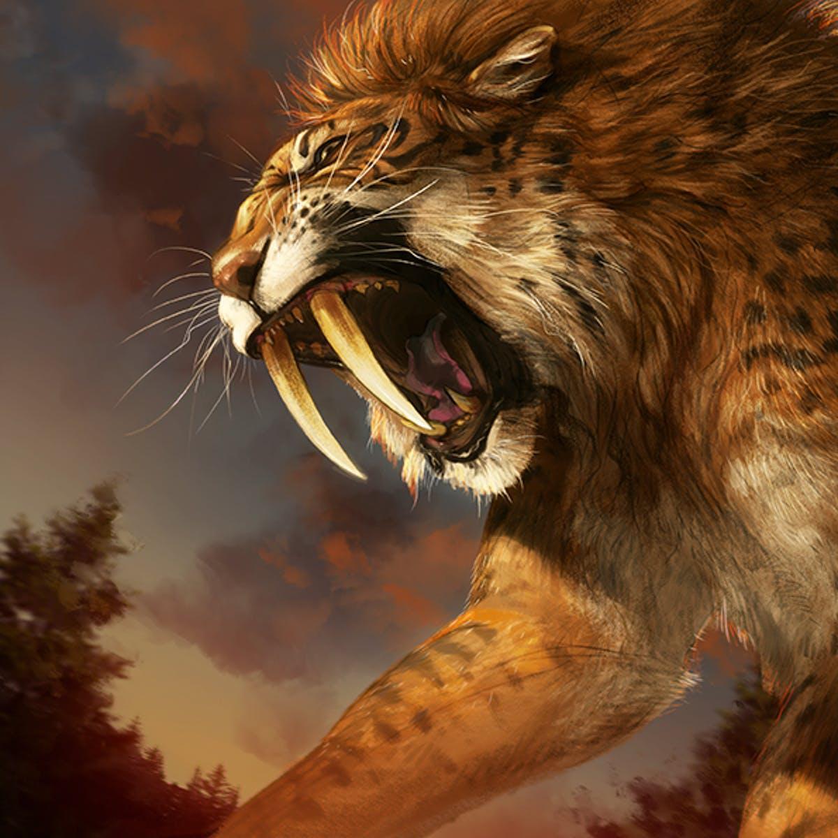 1200x1200 Saber Tooth Tiger Wallpaper