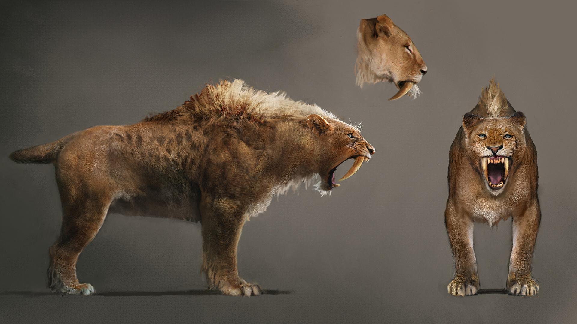 1920x1080 Sabertooth Tiger Far Cry Primal
