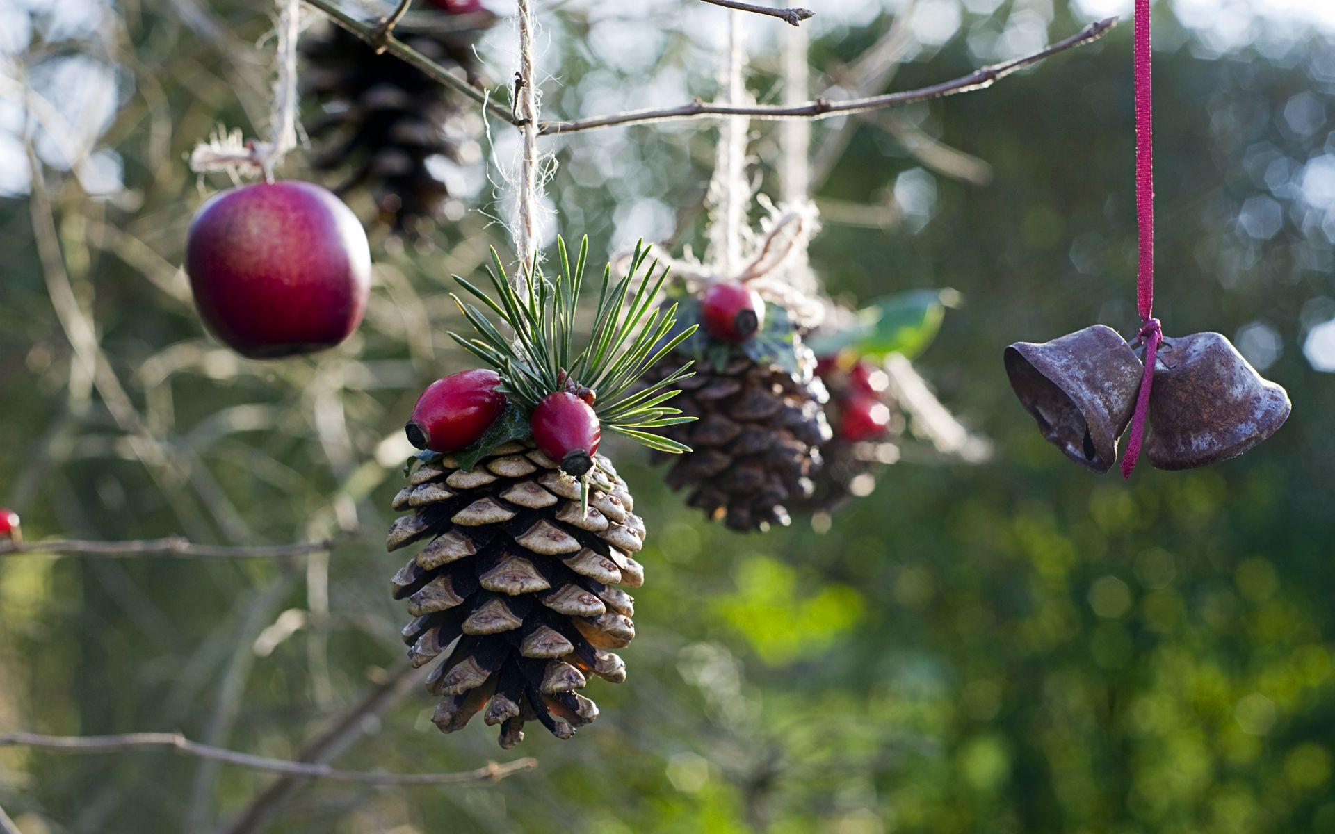 1920x1200 Top Outdoor Christmas Tree Decorations