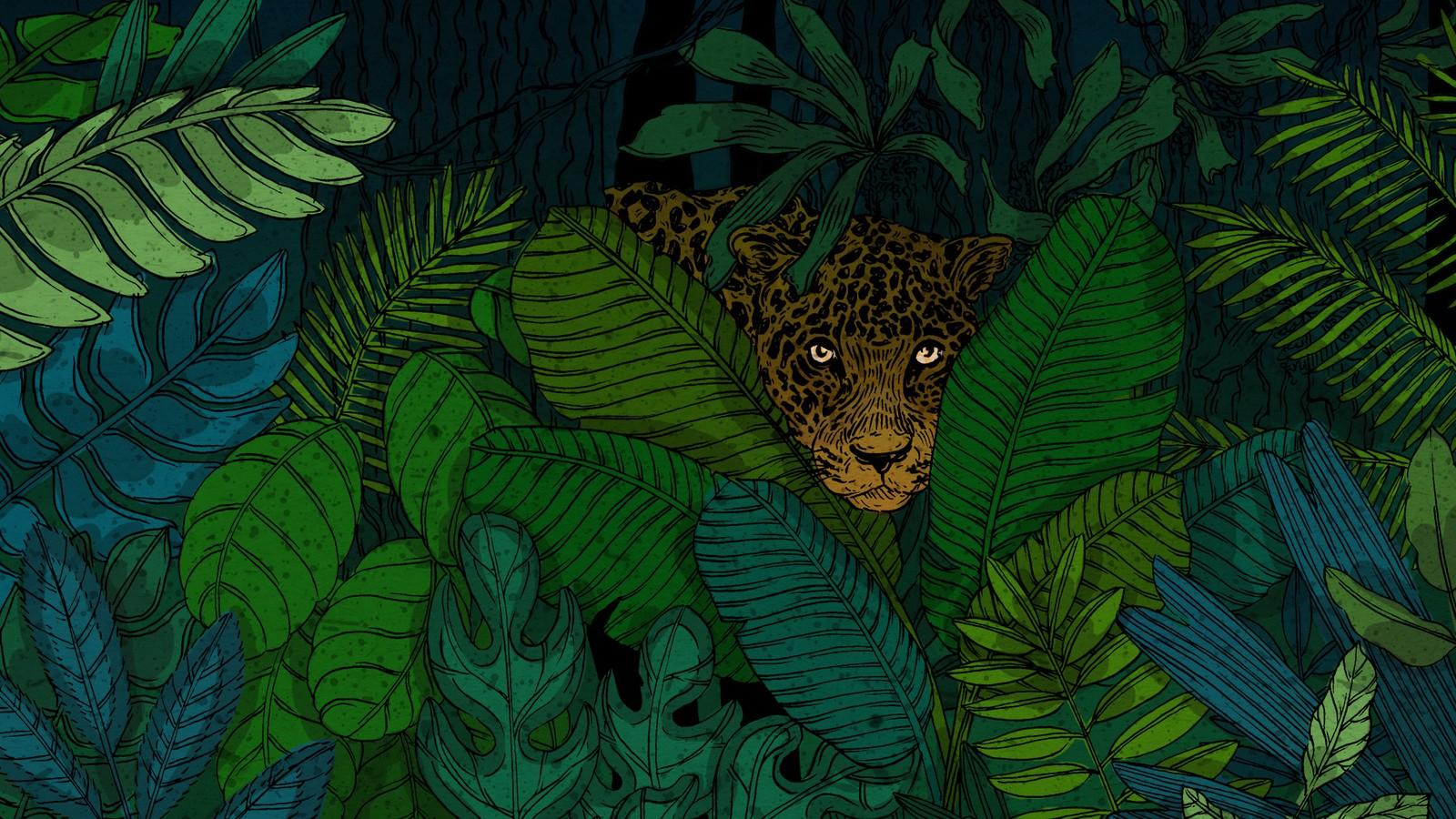 1600x900 The Jaguar Is Made for the Age of Humans