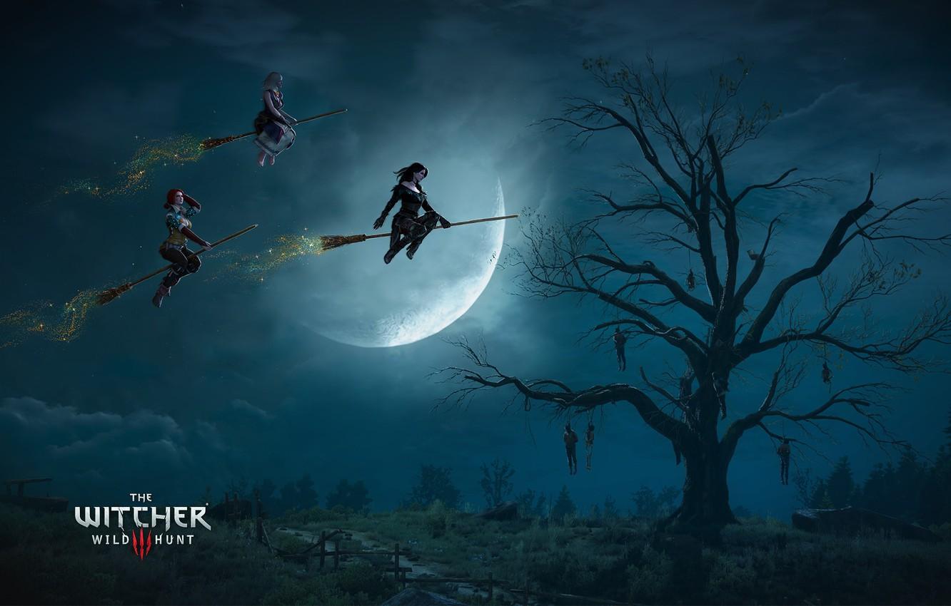1332x850 Wallpaper The Witcher, The Witcher, CD Projekt RED, The Witcher 3: Wild Hunt, Andrzej Sapkowski, The Witcher 3: Wild Hunt image for desktop, section игры