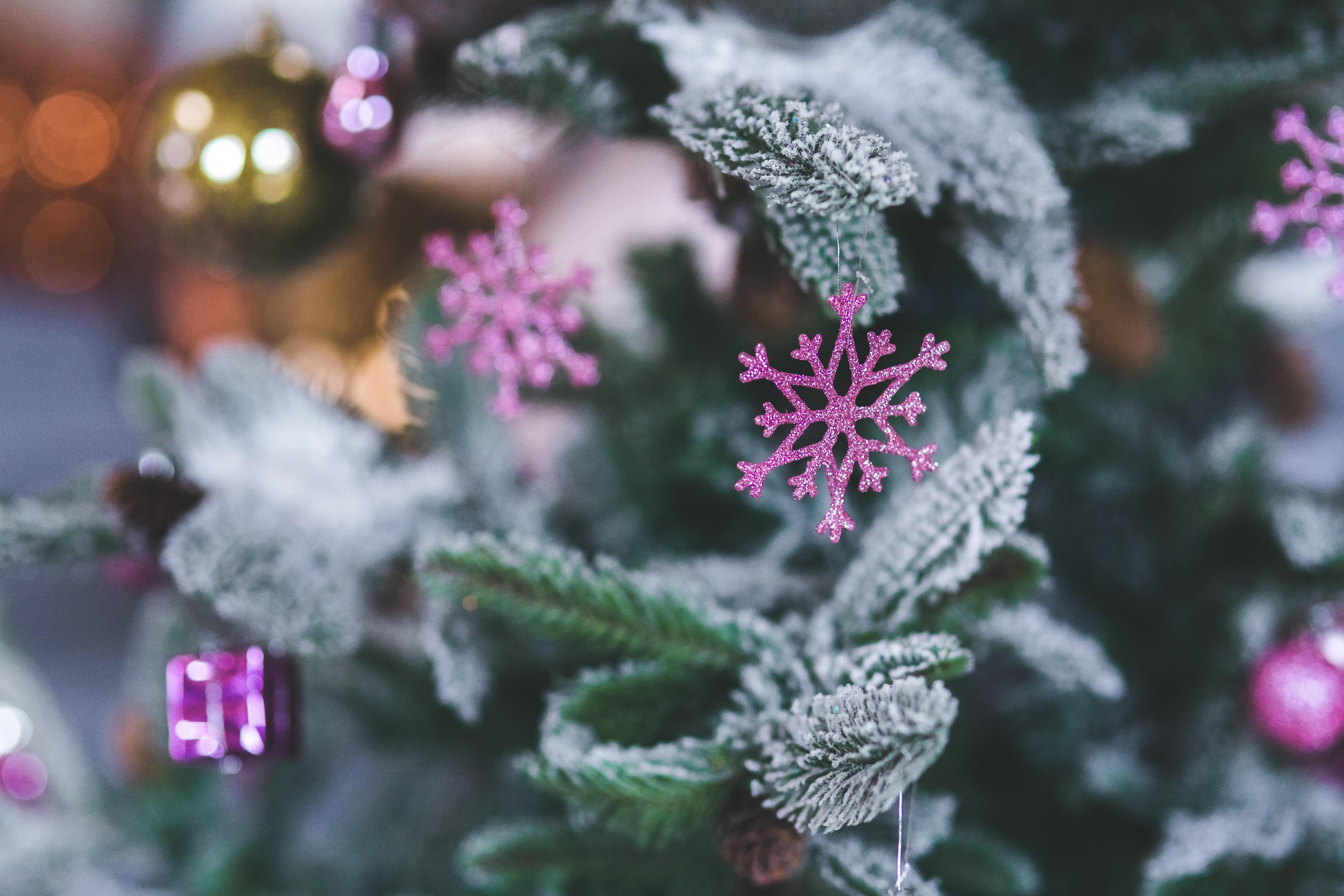 5472x3648 Free photo: Pink Snowflake. Christmas Tree Decoration, New year, Winter