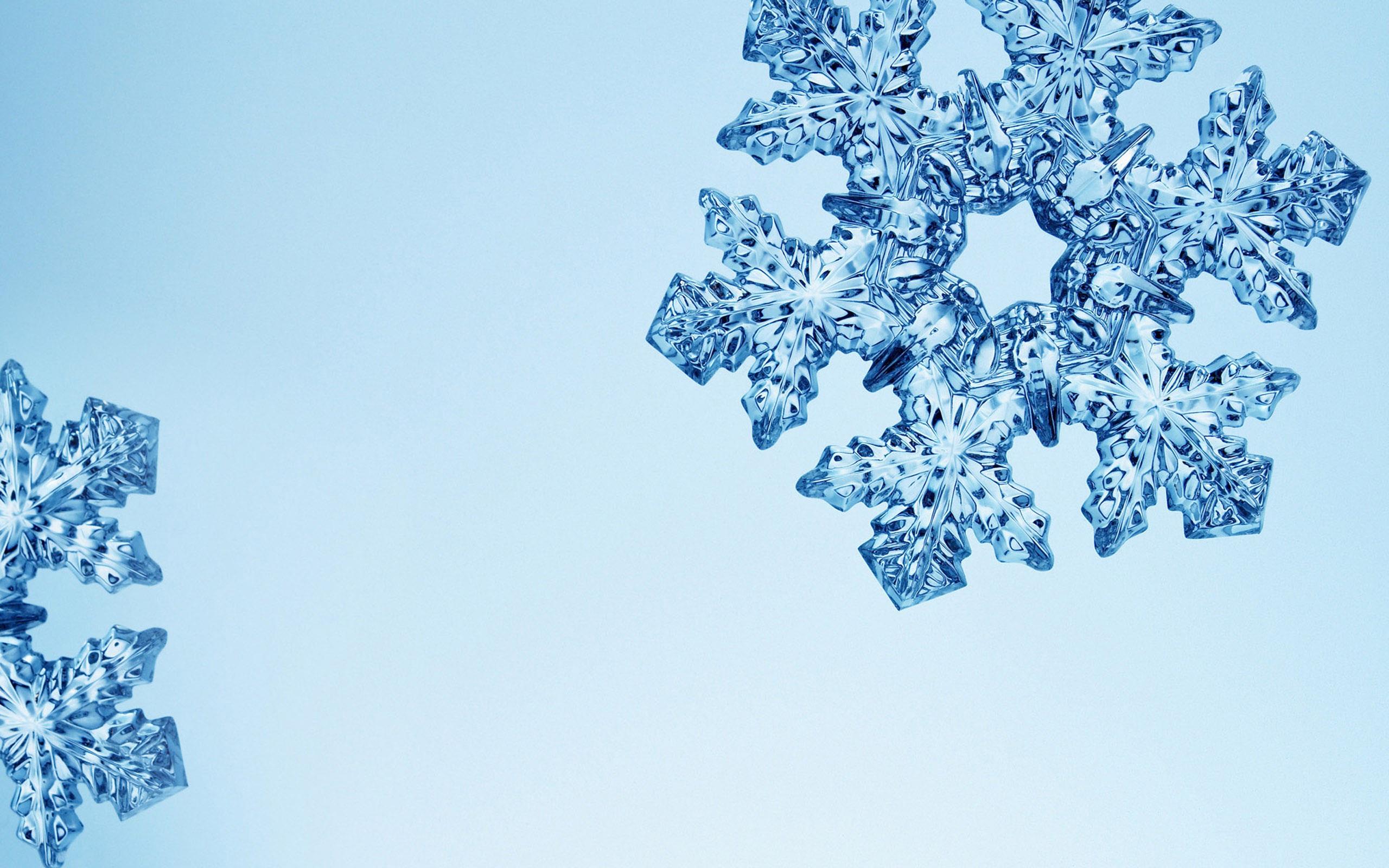 2560x1600 Computer Pink Snowflake Wallpaper, Desktop Background 1920x1080 Id