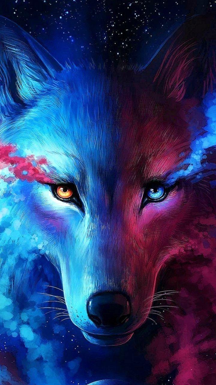 Wolf and Fox Wallpapers - Top Free Wolf and Fox Backgrounds ...