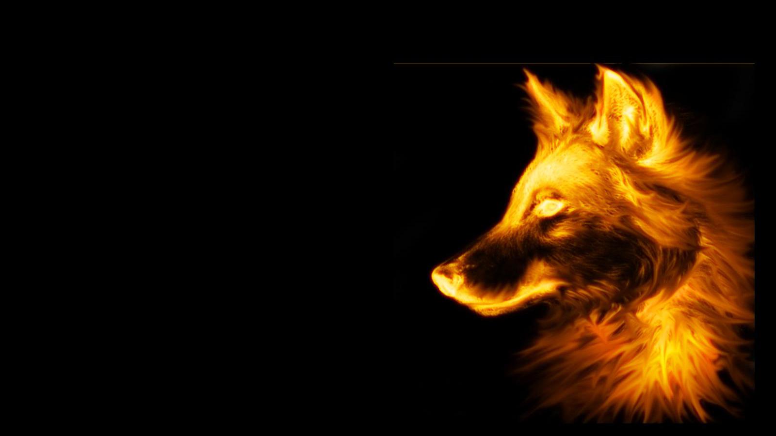1600x900 3D Fox Wallpaper HD Wolf Black Background