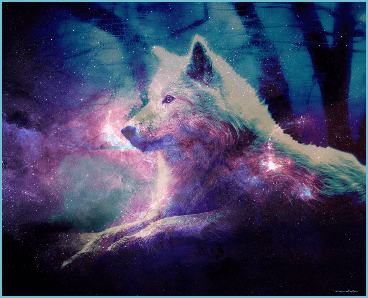 1233x1001 Cute Galaxy Wolf Wallpaper Free Cute Galaxy Wolf Galaxy Wolf Wallpaper