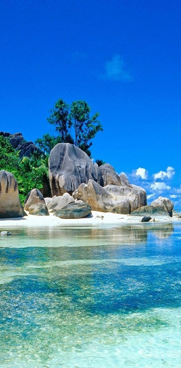 630x1280 Pretty Beach wallpaper