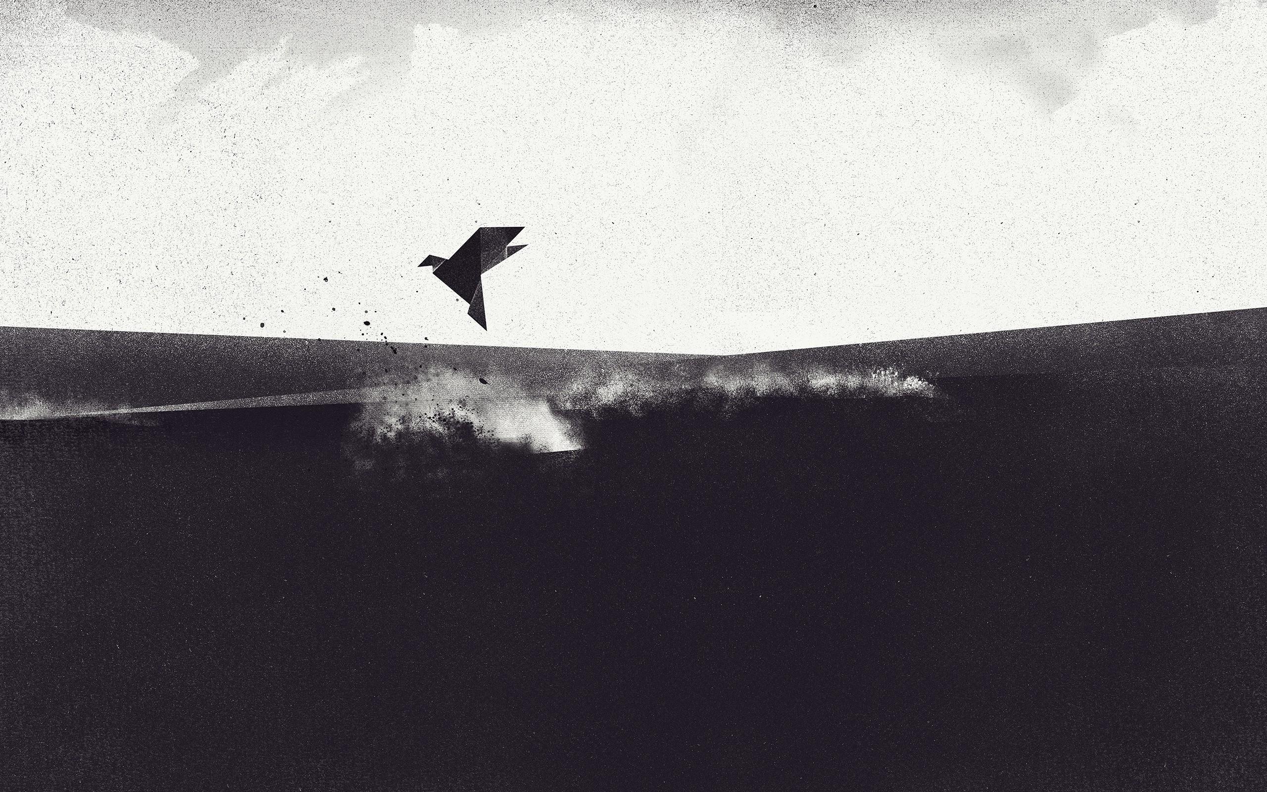 2560x1600 Black White Wallpaperx1600