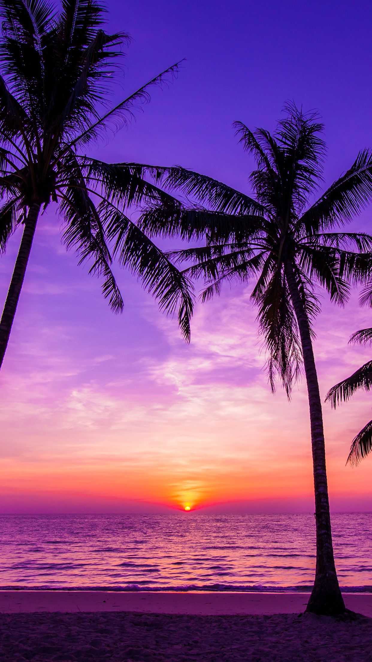 1242x2208 Nice Wallpaper