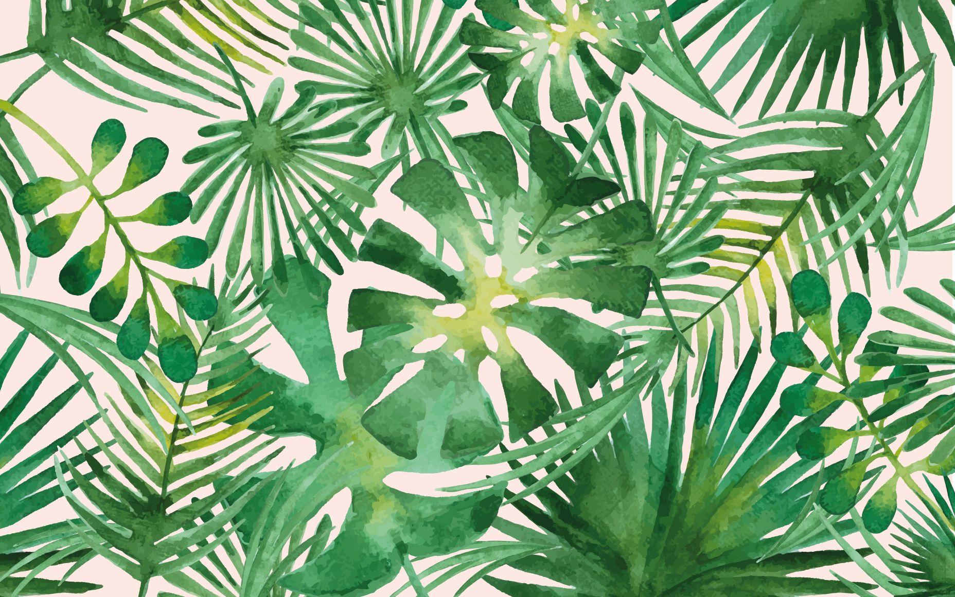 1856x1161 Green Tropical Leaves Desktop Wallpaper