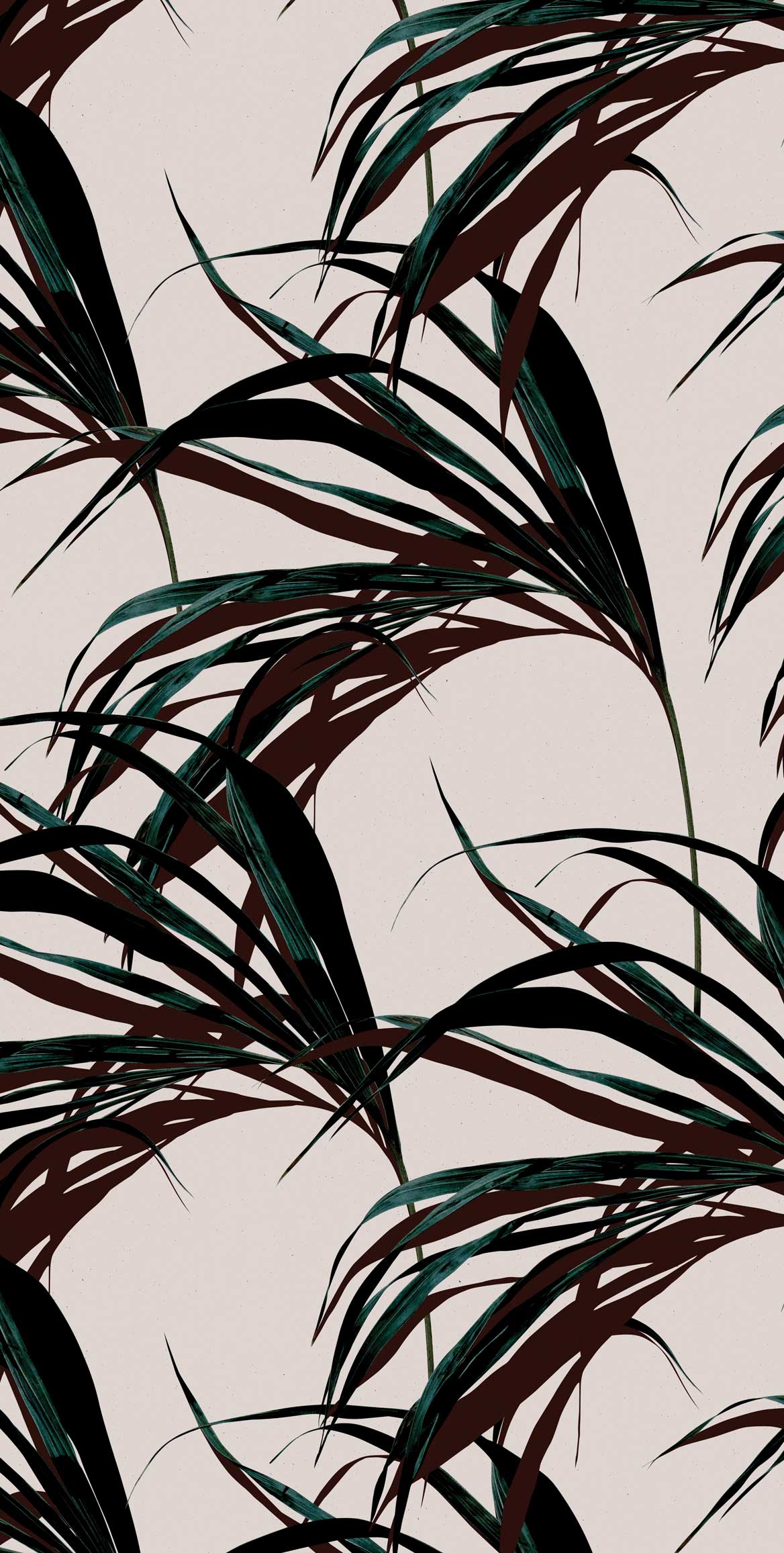1168x2313 Grey & Green Concrete Palm Leaf Wallpaper