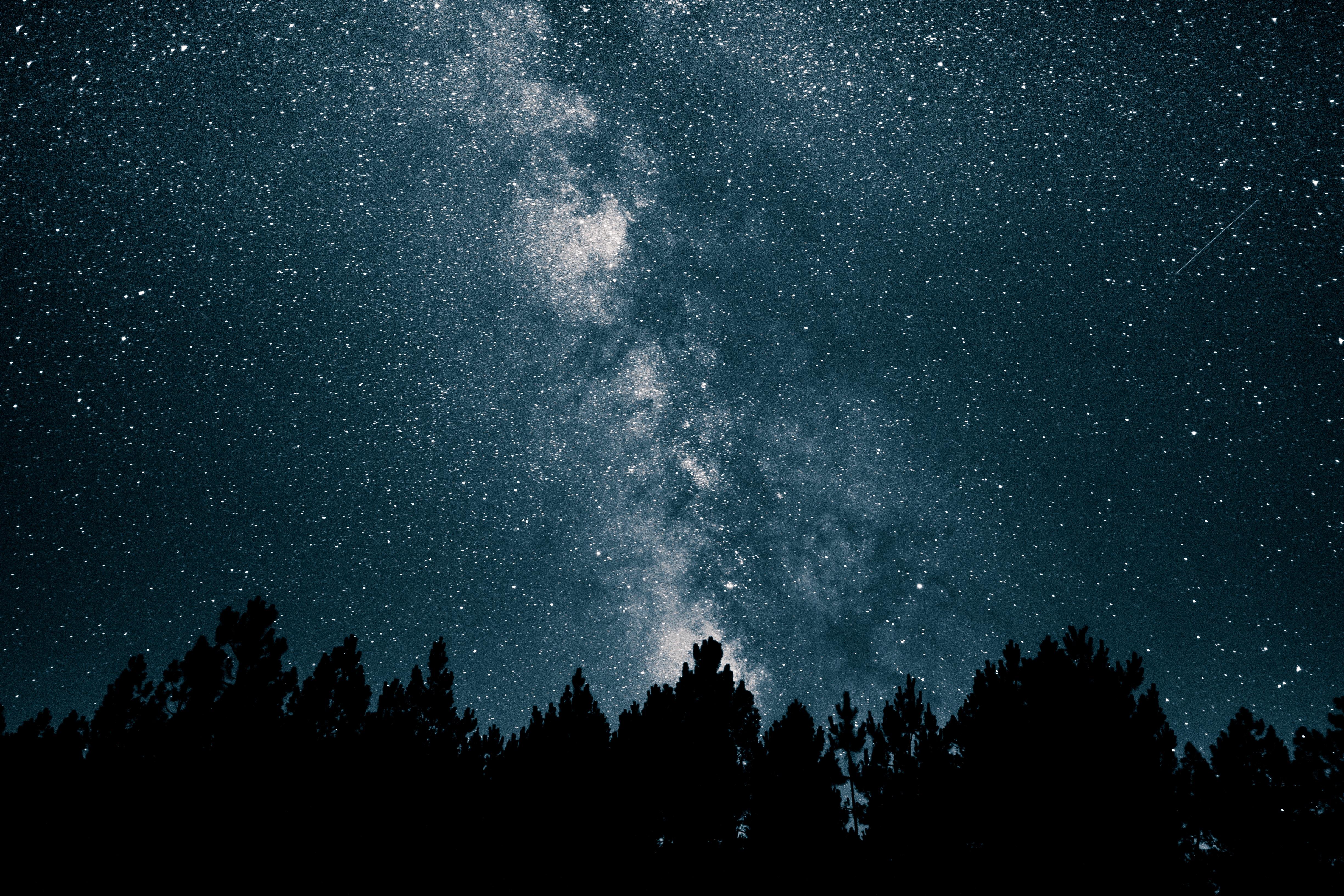 4896x3264 4896x3264 #minimal, #milky way, #trees, #star, #black and white, #Free picture, #night, #starts, #long exposure, #tree, #blue, #silhouette, #sky, #dark. Mocah HD Wallpaper