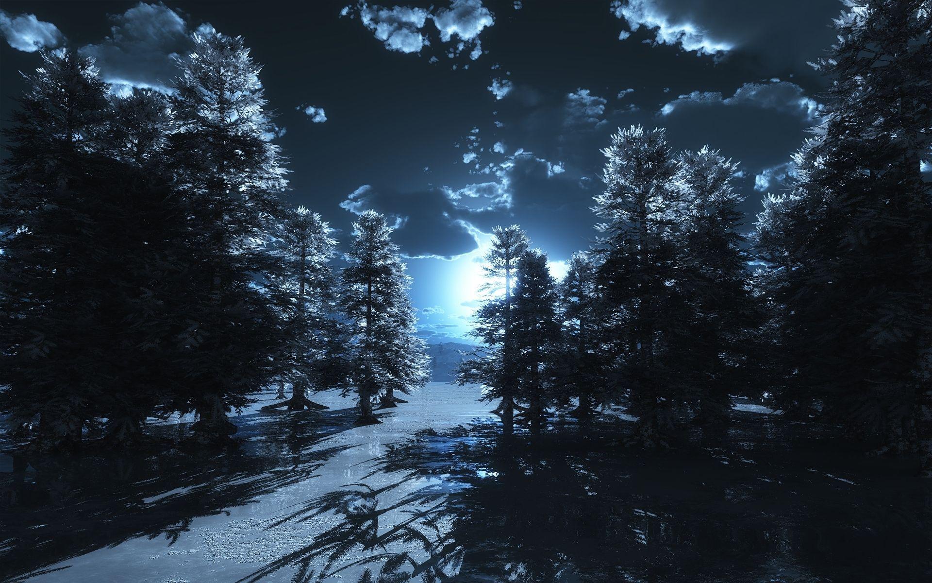 1920x1200 BLUE MOON FOREST, BLUE, CLOUDS, cold, FOREST, MOON, NIGHT, pine trees, SKY, snow, winter 31345. Forest moon, Night sky photo, Night forest