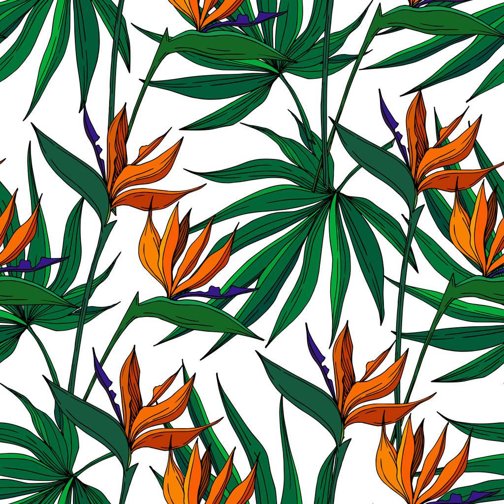 1024x1024 Vector Tropical Floral Botanical Flowers. Wild Spring Free Stock Vector Graphic Image