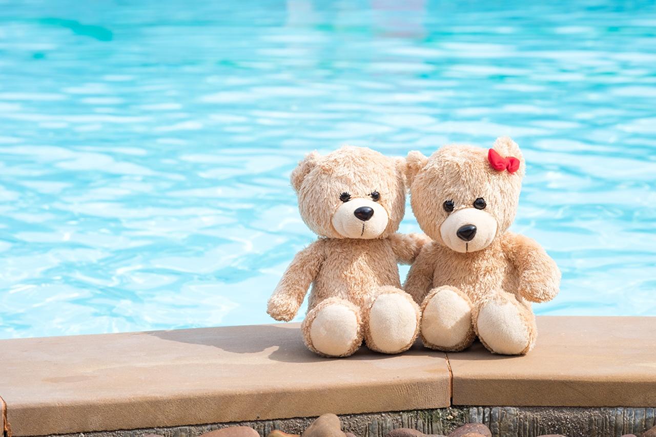 1280x853 image 2 Hug Love Teddy bear