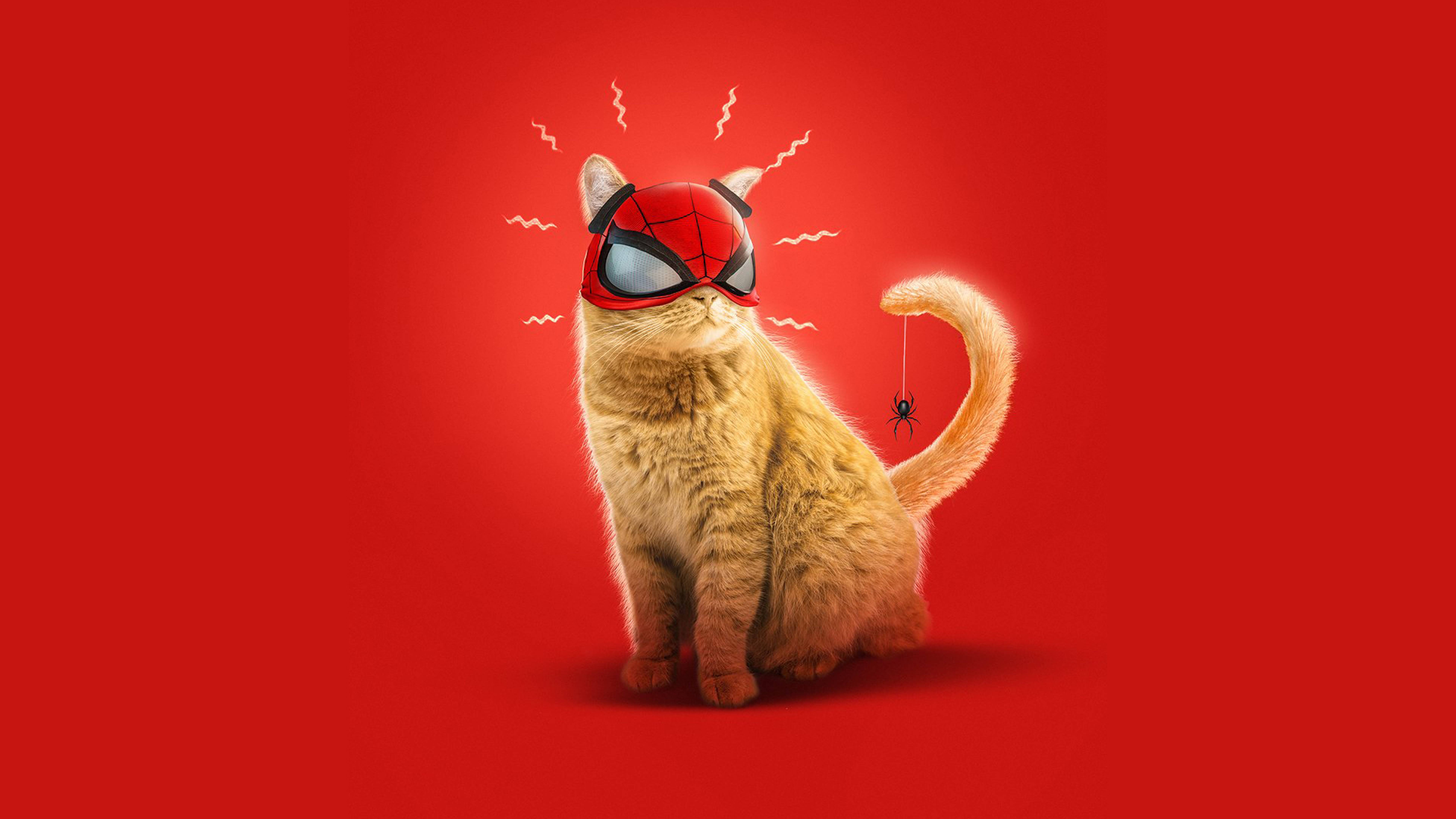 7680x4320 Spider Cat Spider Man Miles Morales Art 8K Wallpaper, HD Games 4K Wallpaper, Image, Photo And Background